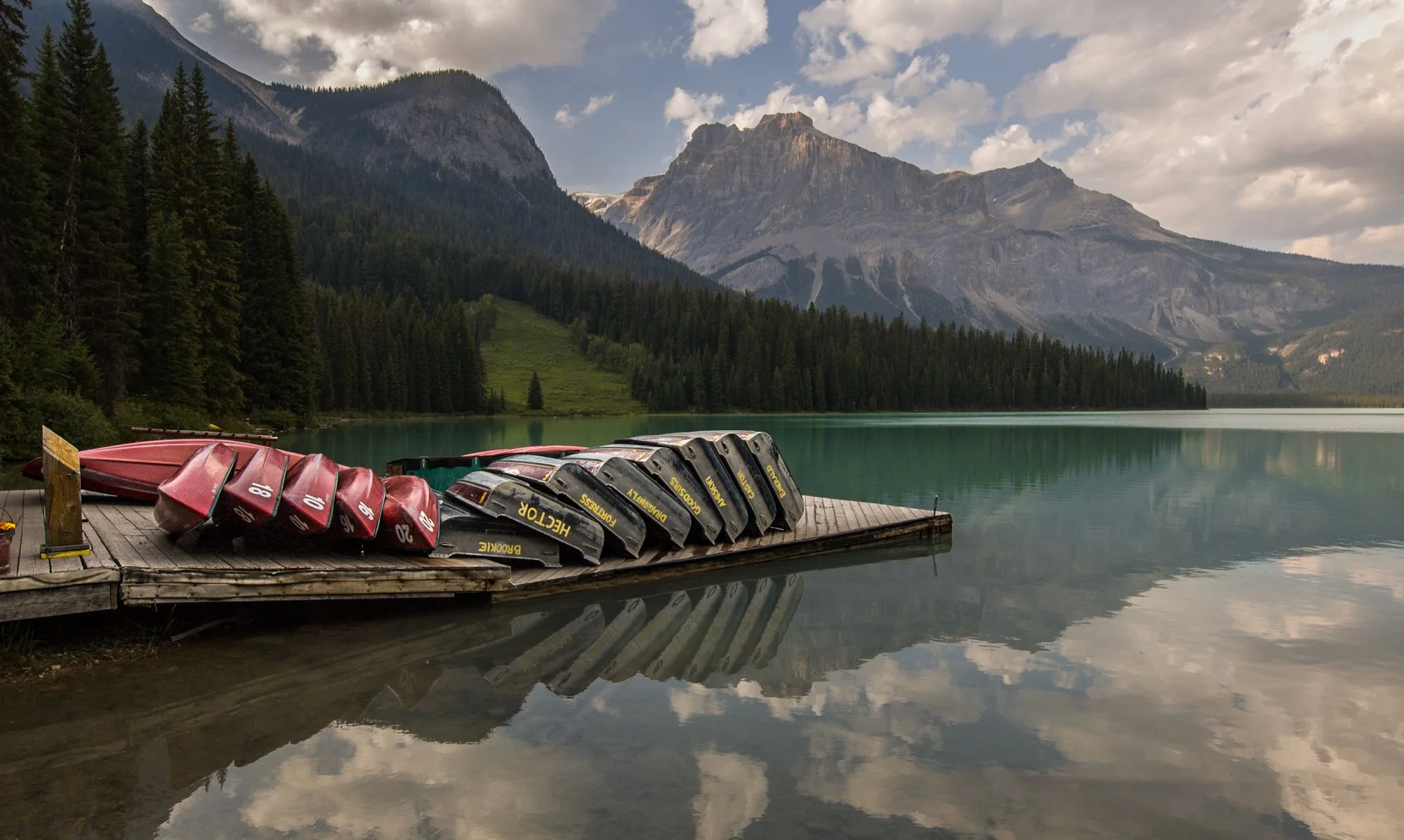 2009_yoho_03.jpg