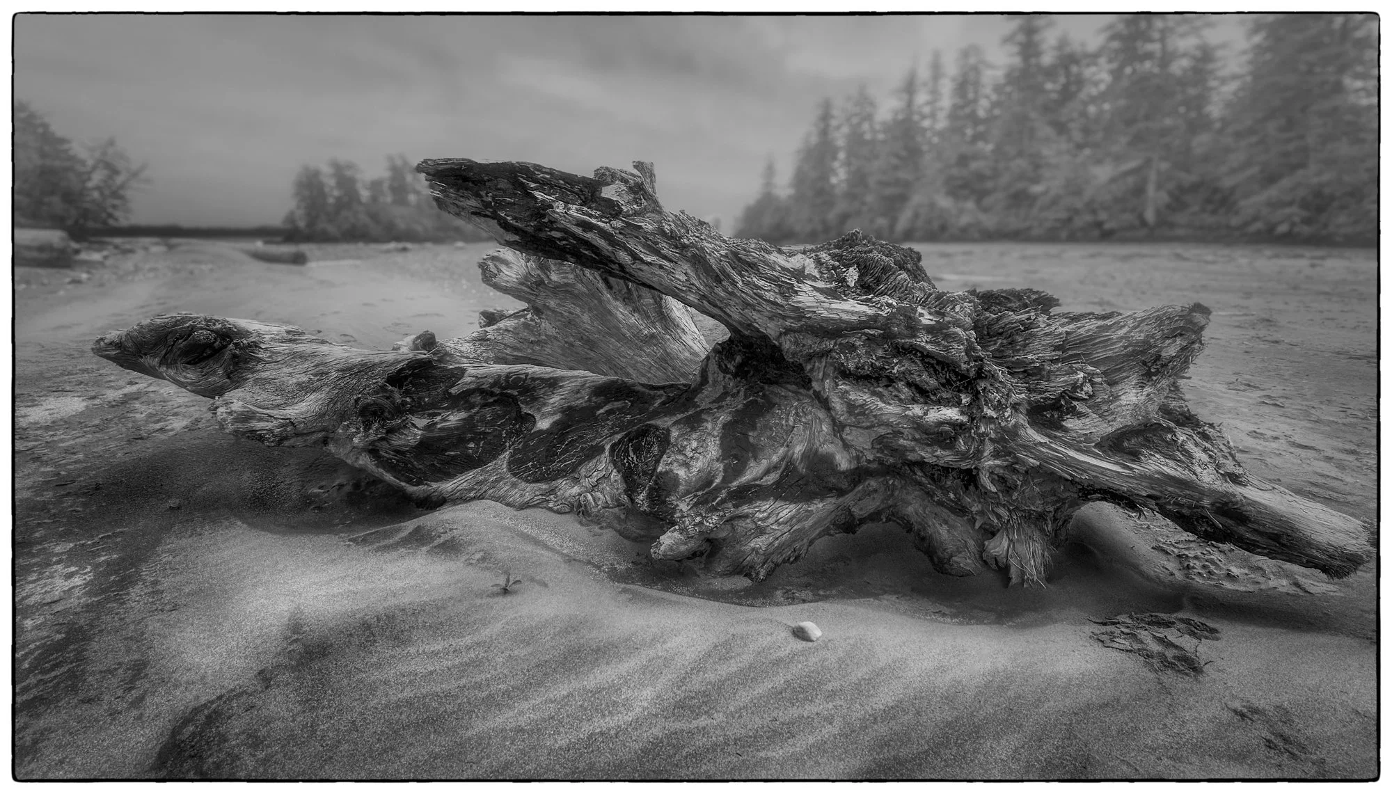 2012_vancouver_island14.jpg