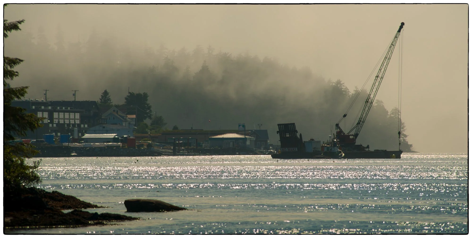 2012_vancouver_island28.jpg