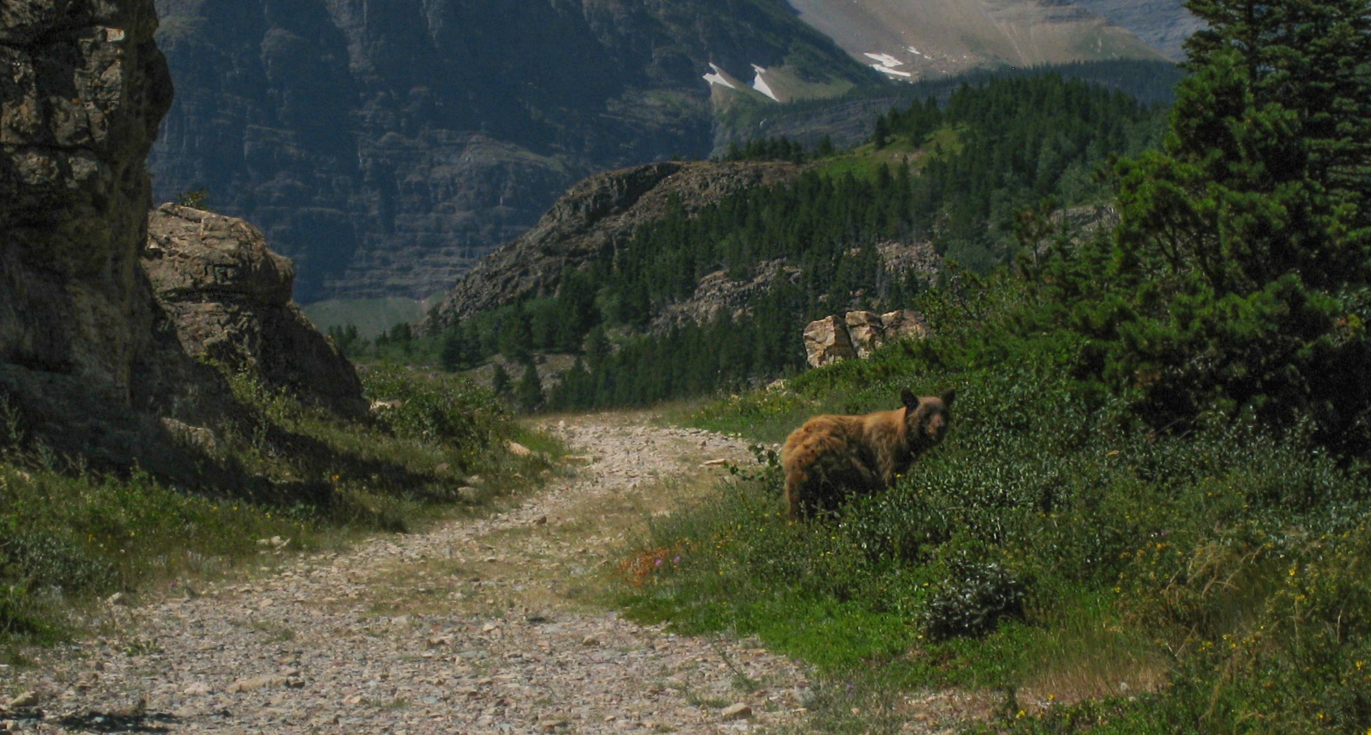 Project_20130727_0024.jpg