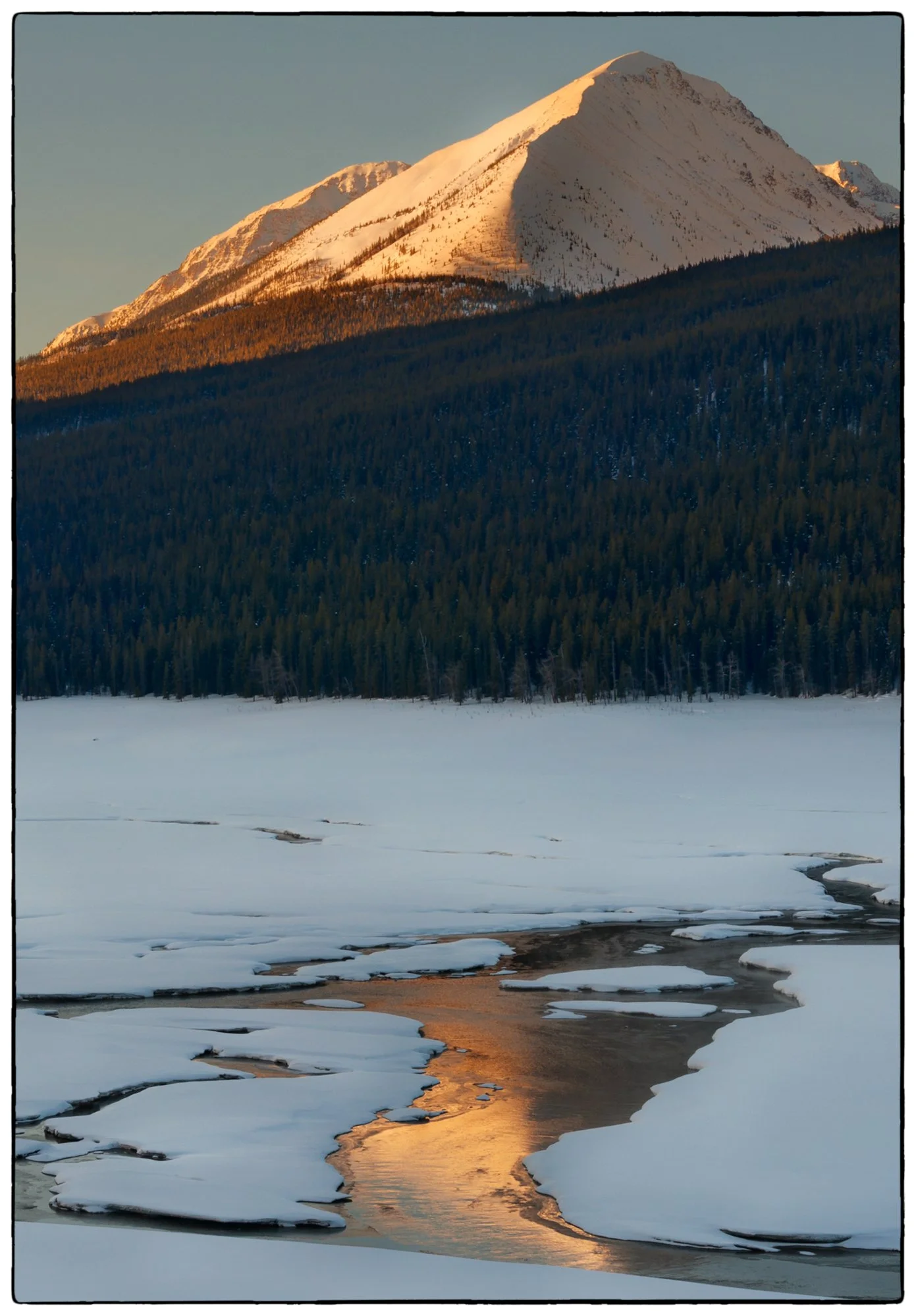 2012_jasper_10.jpg