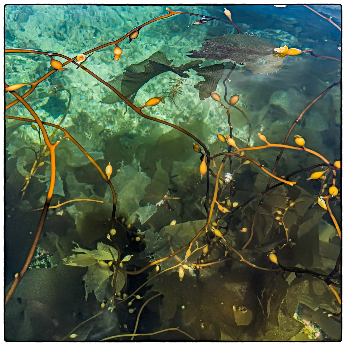 Kayaking at Broken Group Islands National Park
