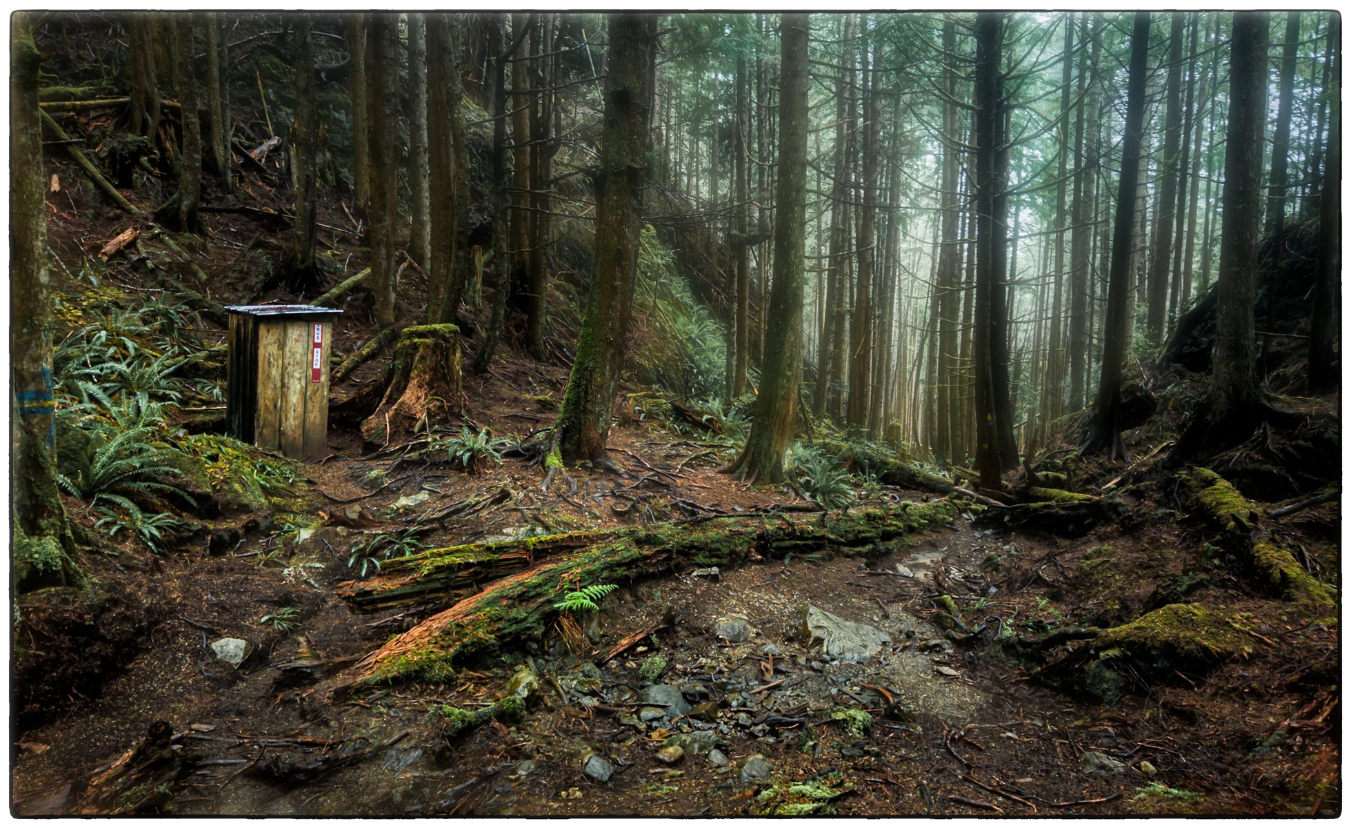 Telegraph Cove hike