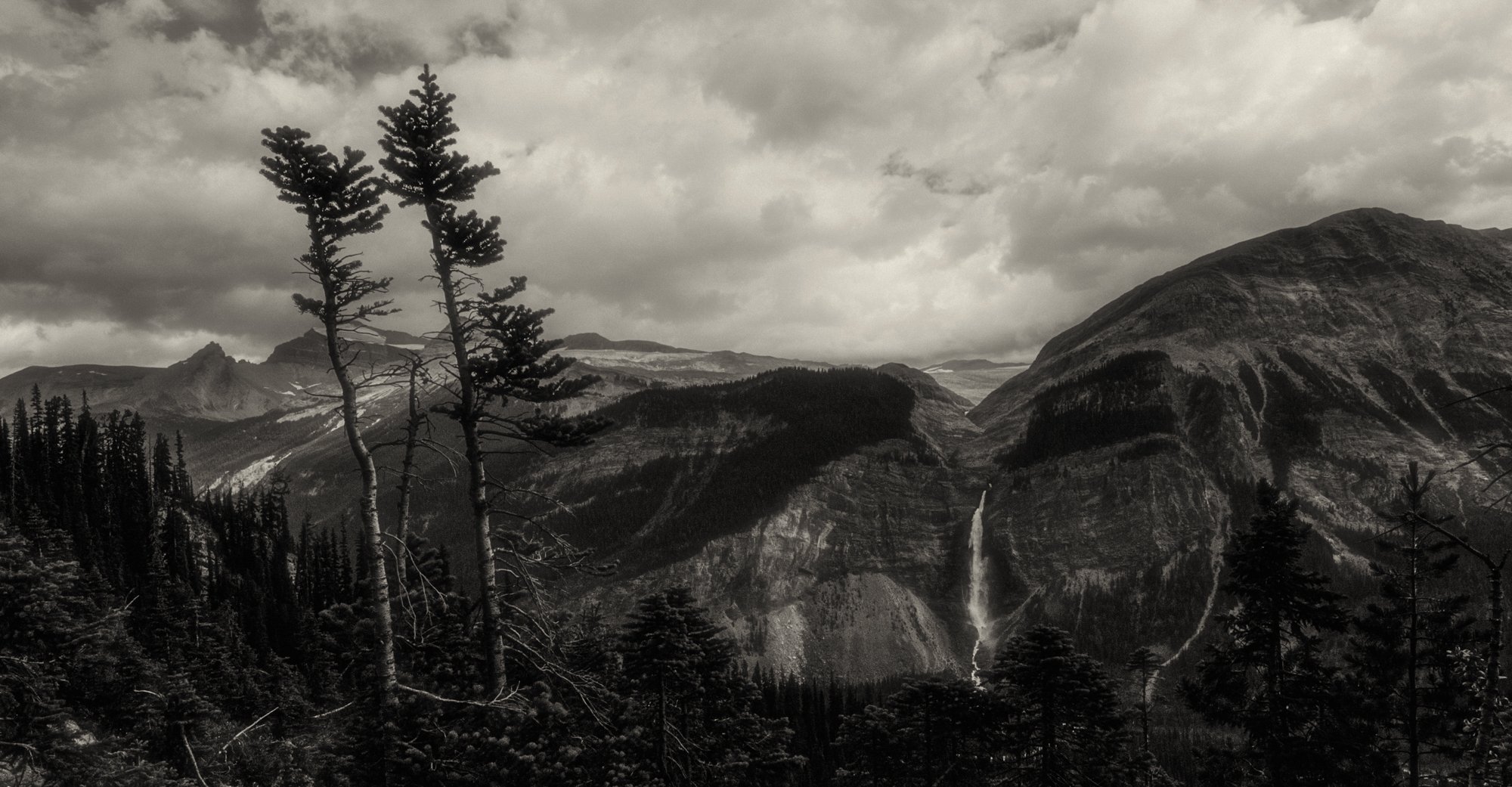 2009_yoho_06.jpg