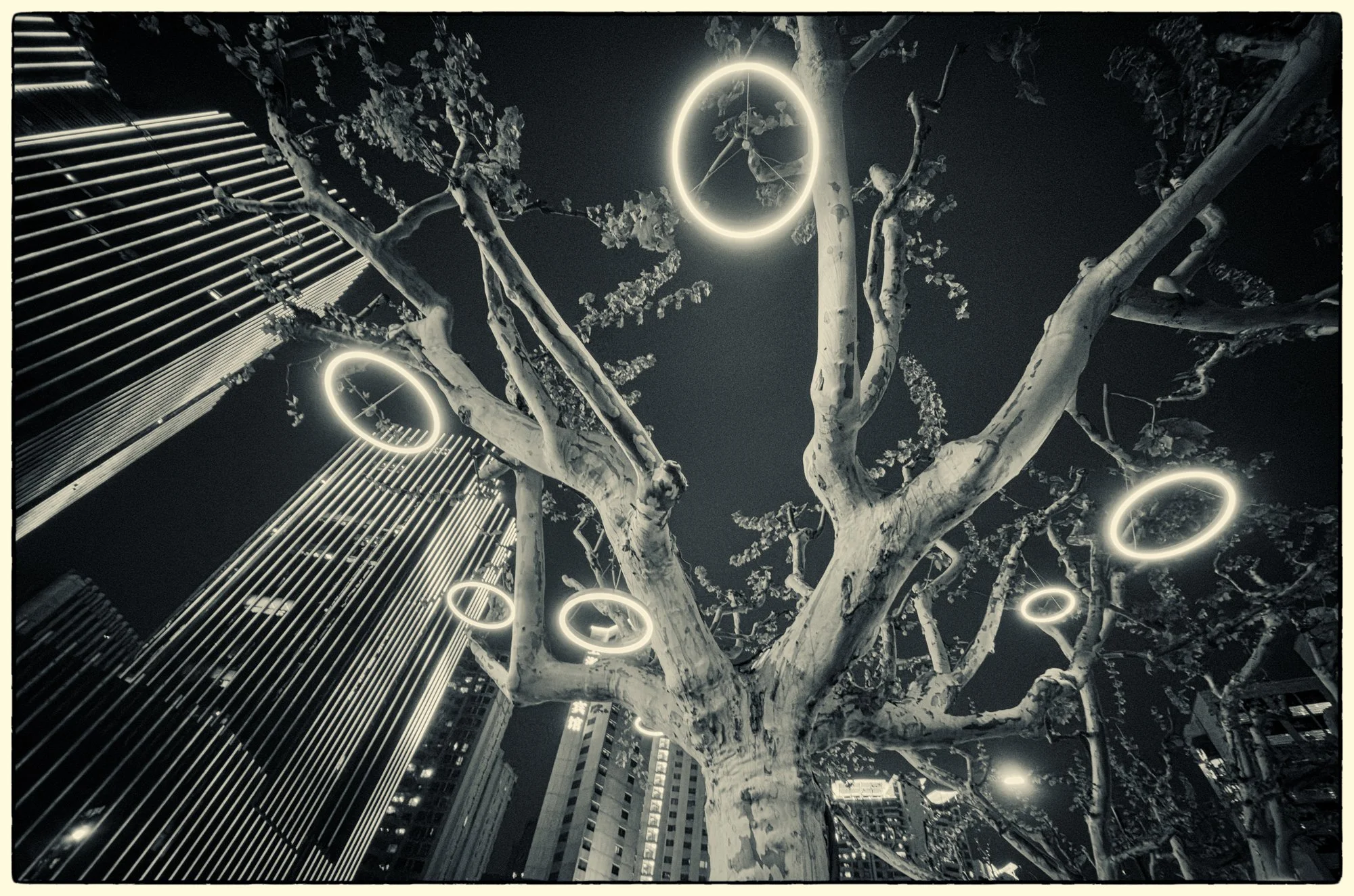 Walking the streets of Shanghai.