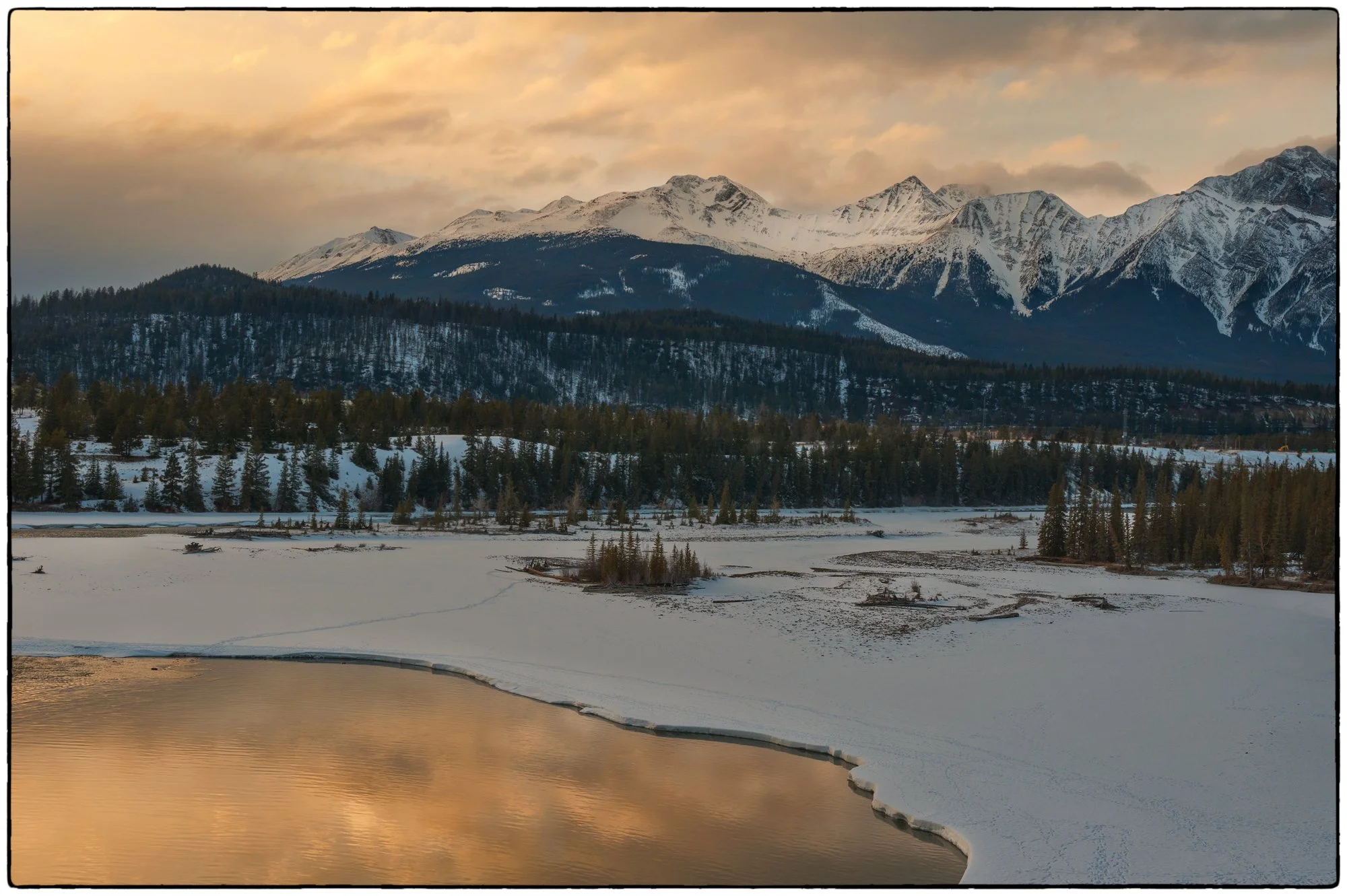 2012_jasper_02.jpg