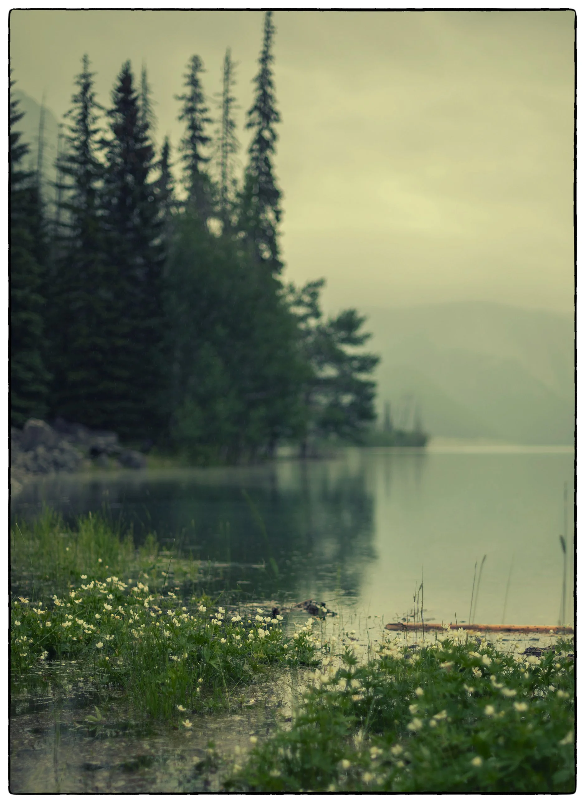 Medicine Lake