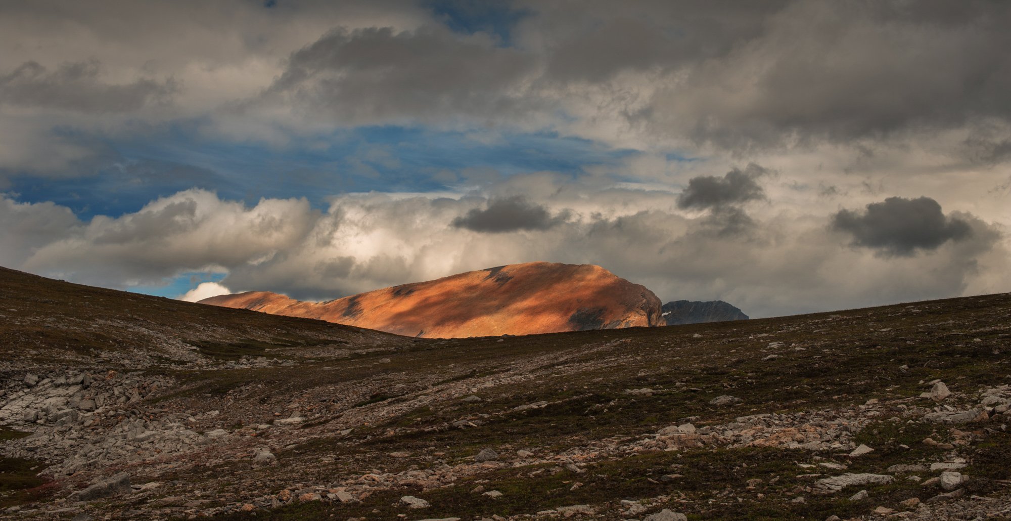 Project_20130824_0003.jpg