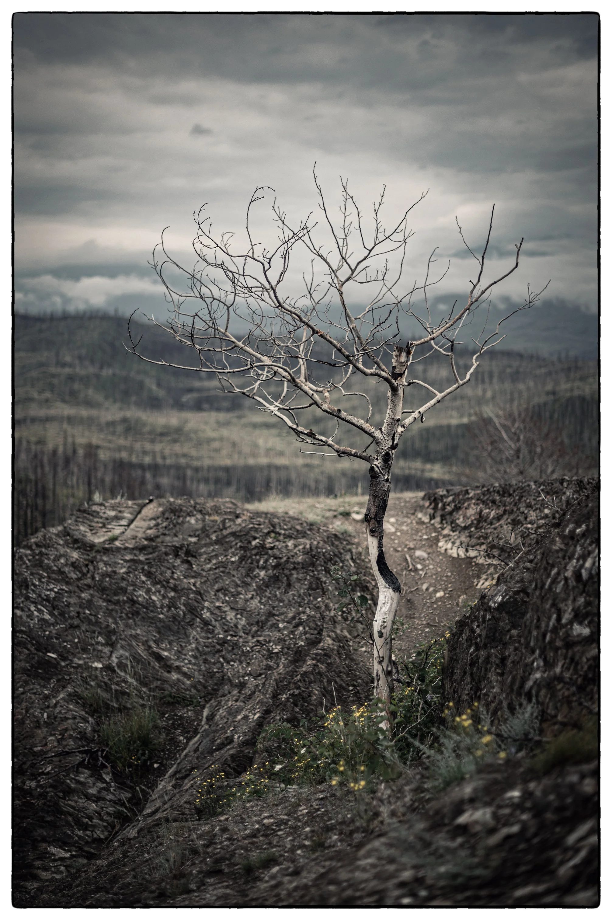  Old Fort hike