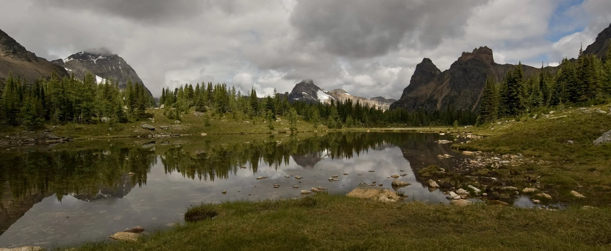 2009_yoho_22.jpg