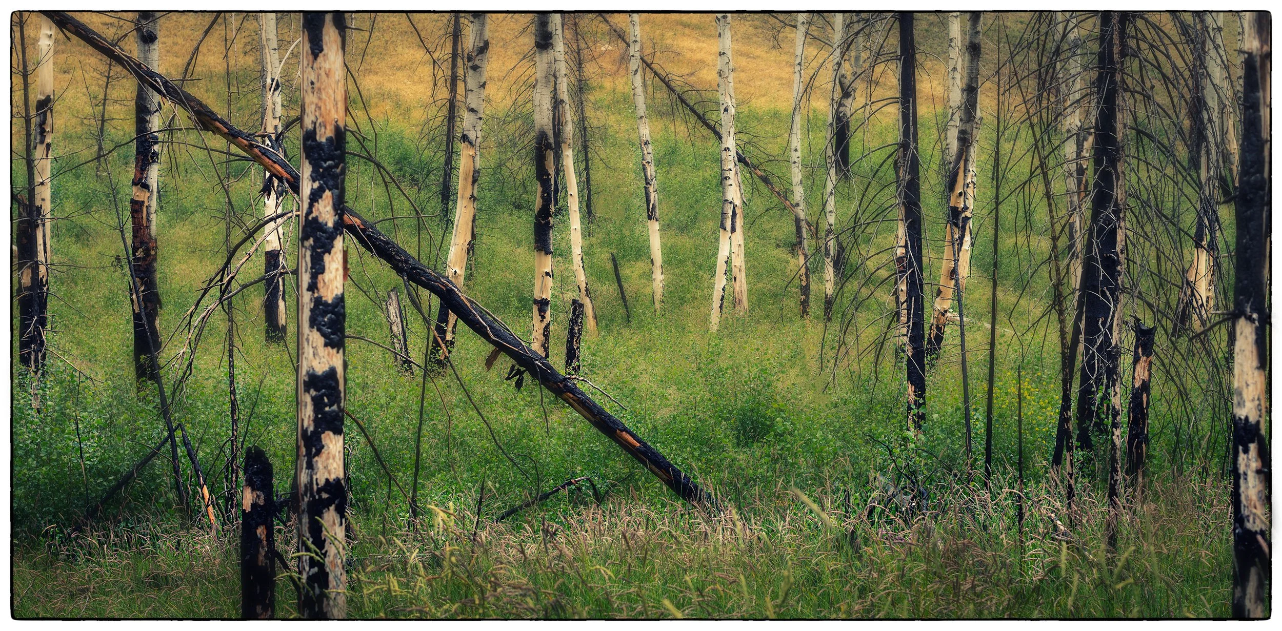  Old Fort hike