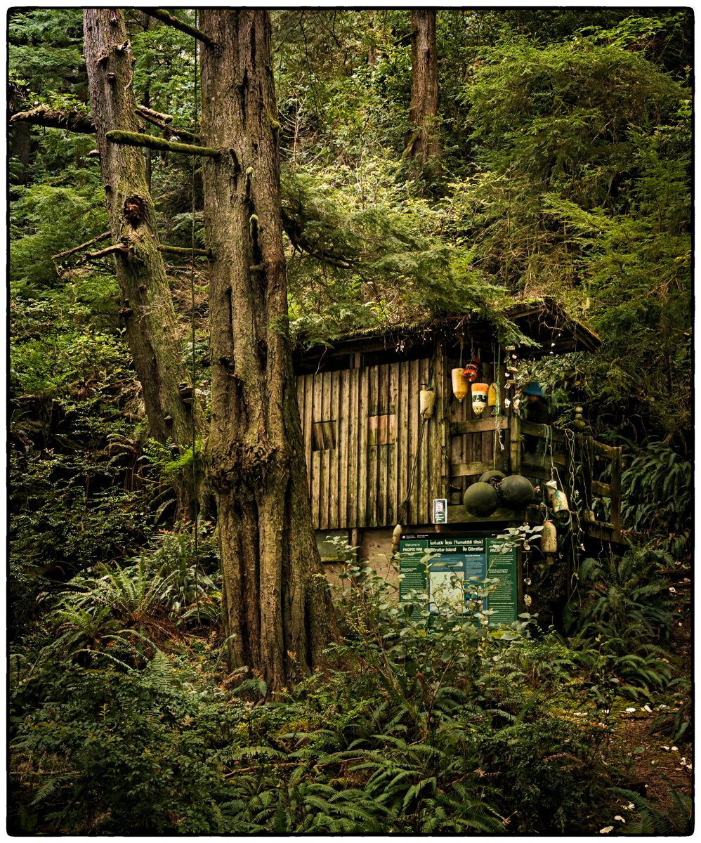 Broken Group Islands National Park, campground on Dodd Island