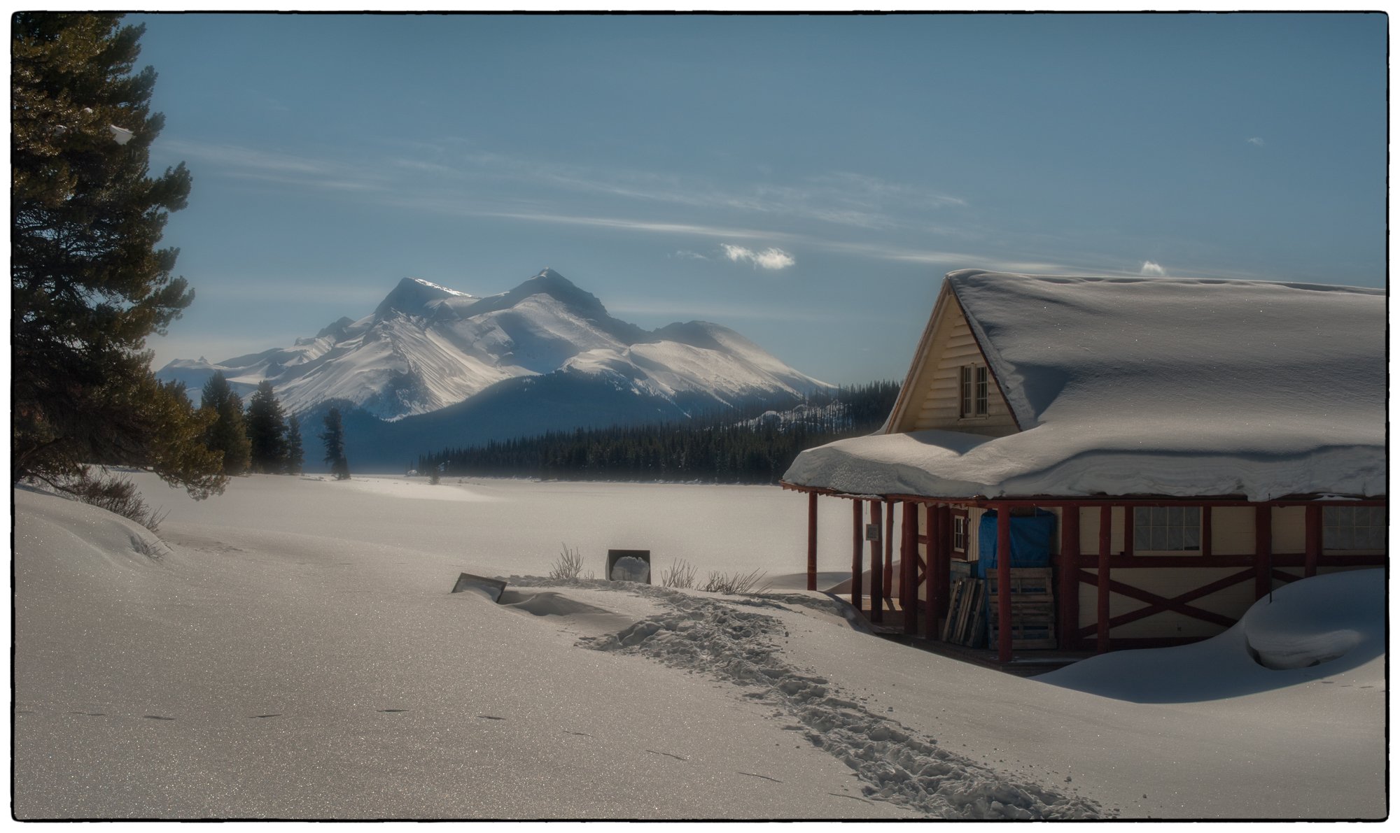 2012_jasper_08.jpg