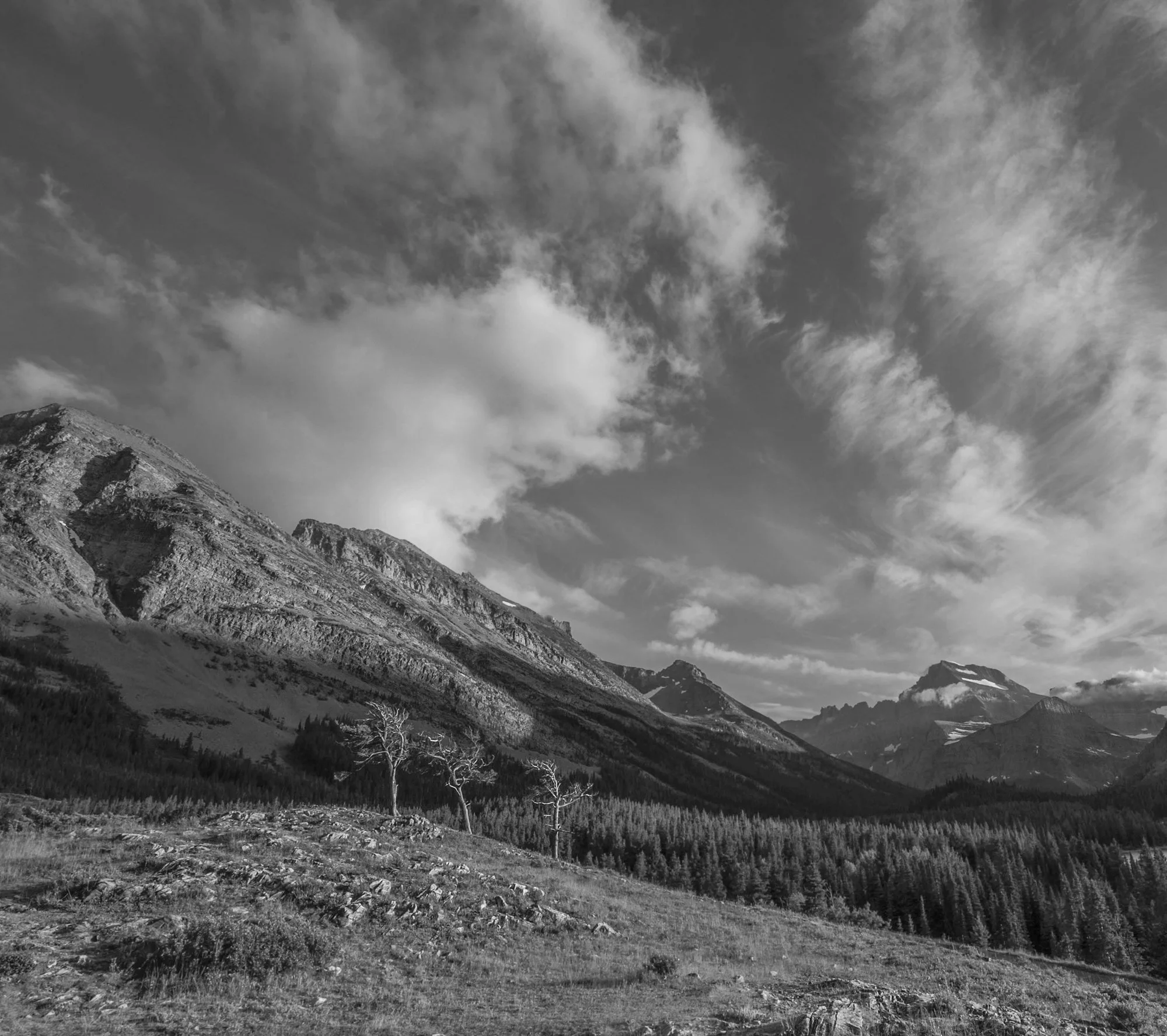 Project_20130727_0015.jpg