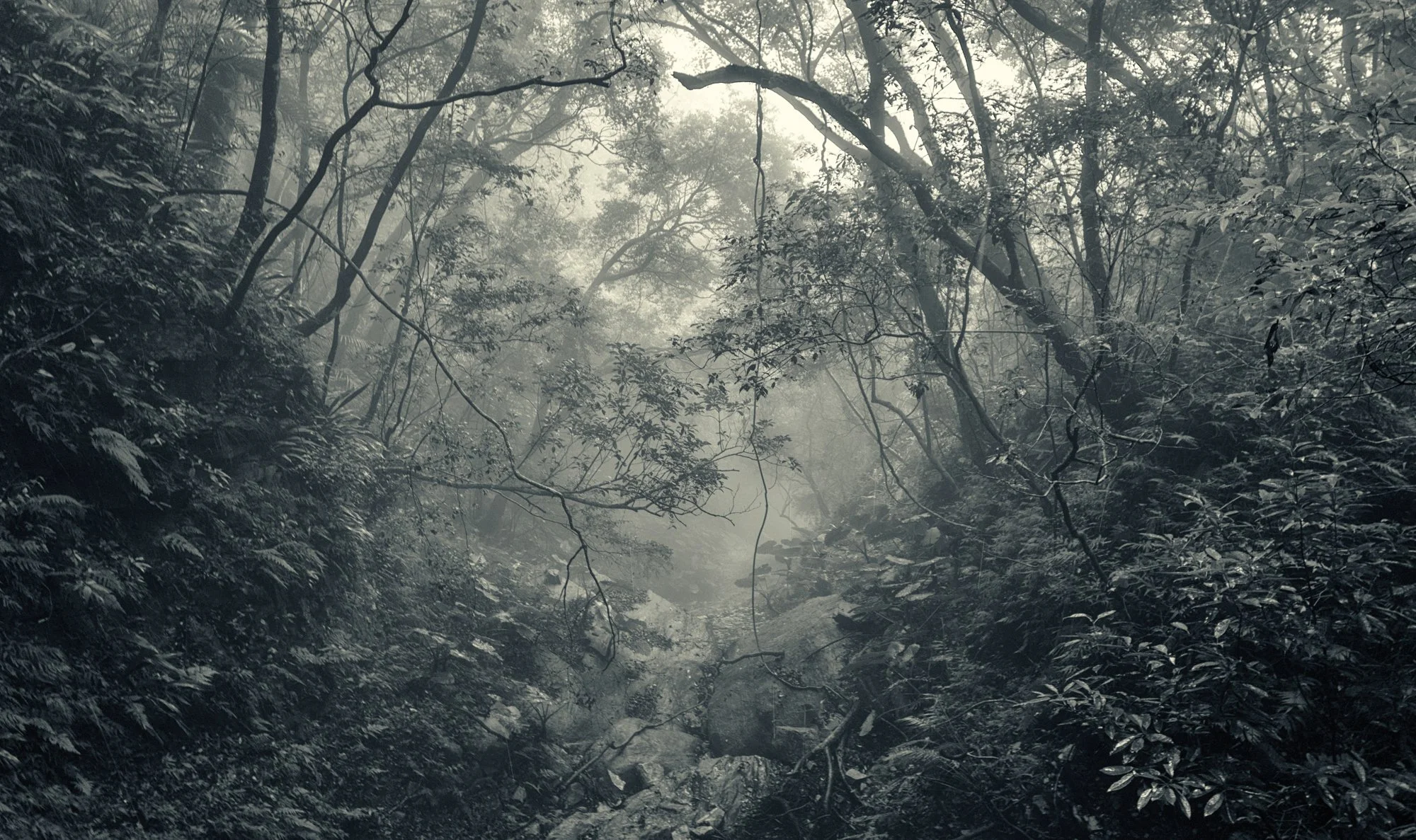 Zhuilu Old Trail.