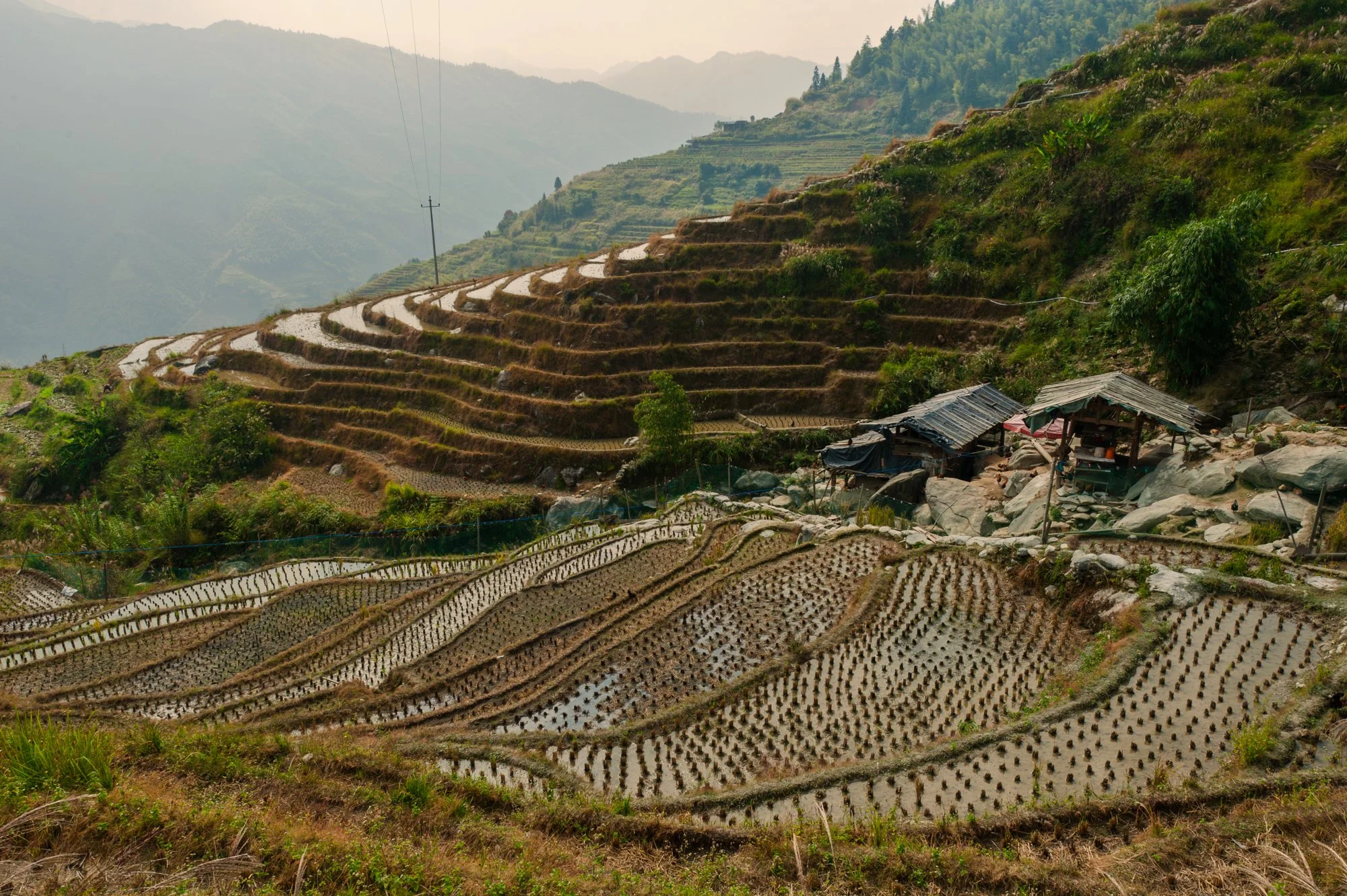 2011_china_longsheng_05.jpg