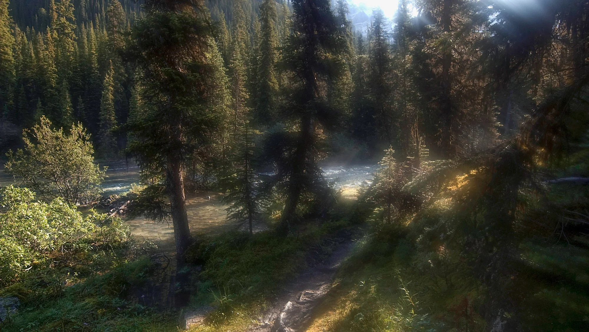2009_yoho_18.jpg
