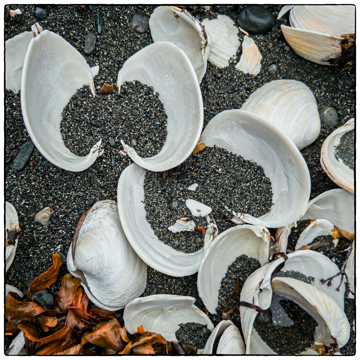 North Vancouver island resort  Cluxewe, walking on the beach