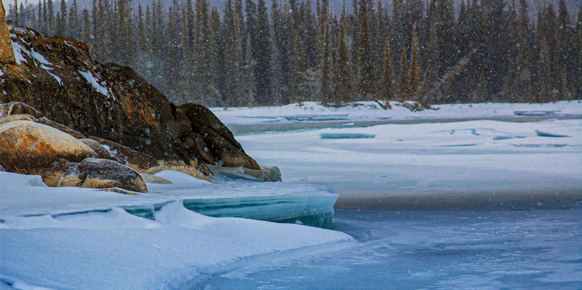 2009_jasper_04.jpg