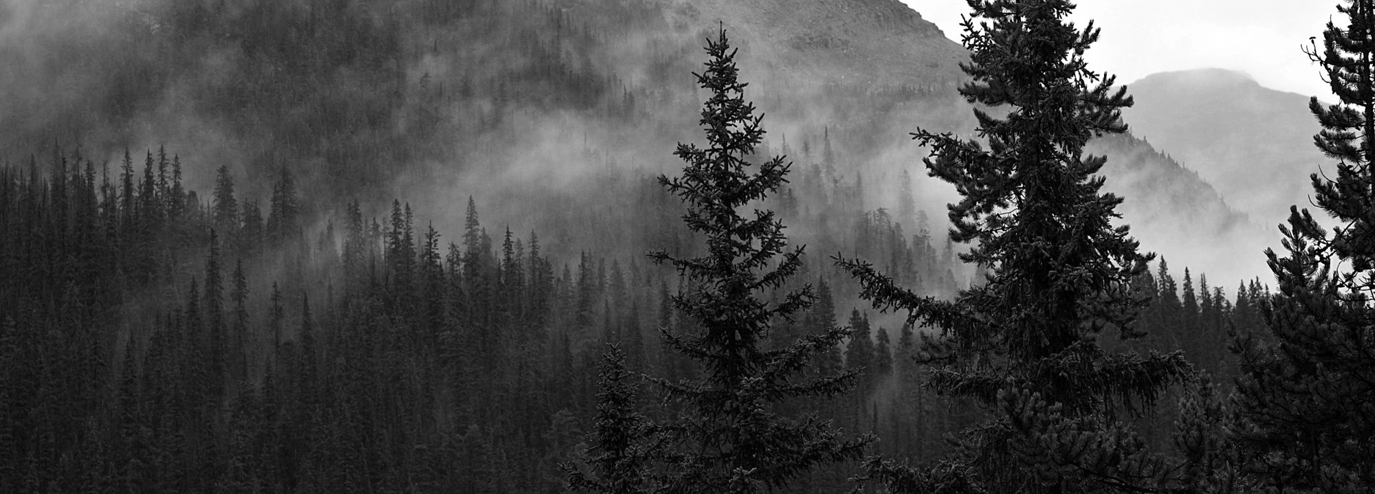 2009_yoho_10.jpg