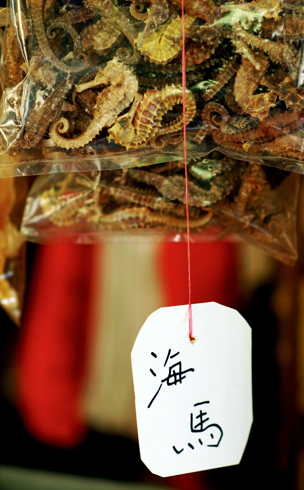 2008_hongkong_03.jpg