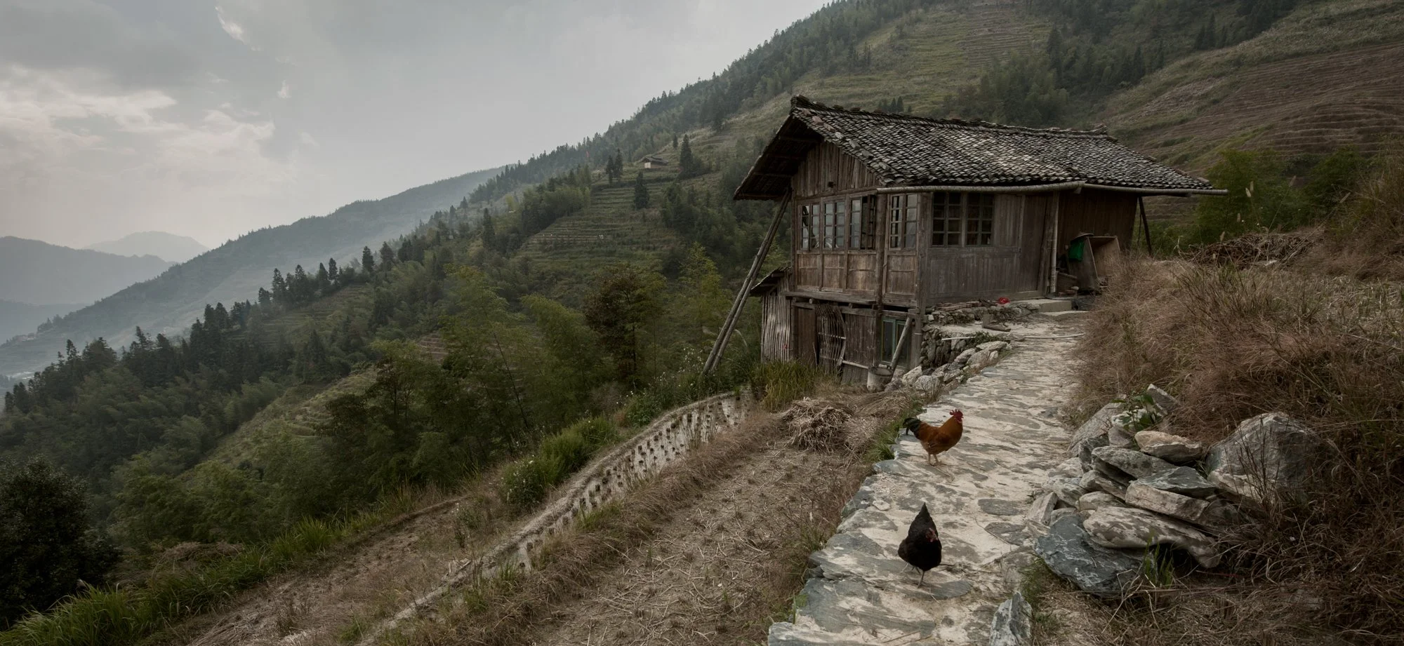 2011_china_longsheng_12.jpg
