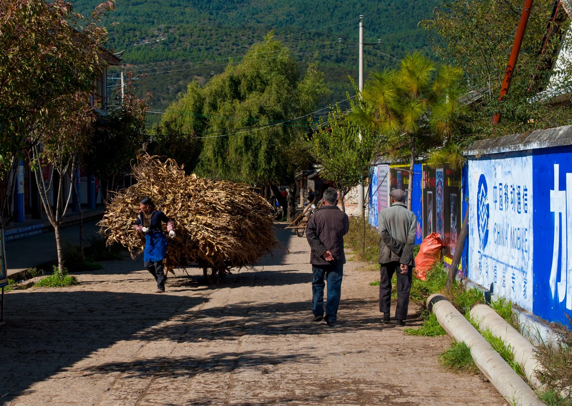 2011_china_lijiang_20.jpg