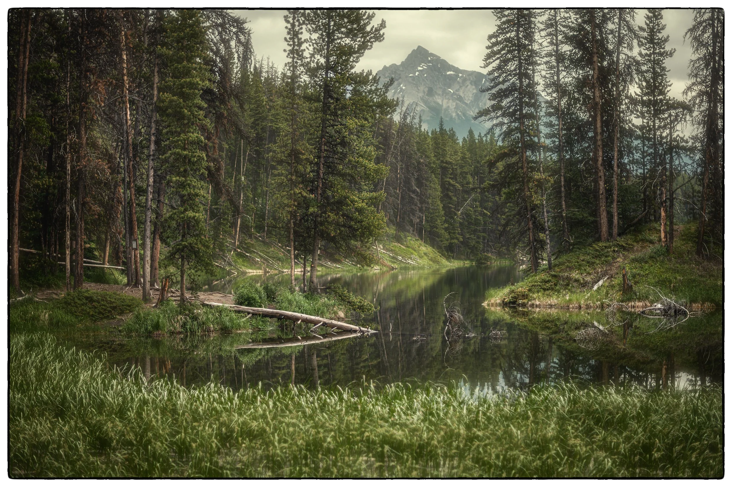 Moose Lake. Short walk off the Maligne Lake