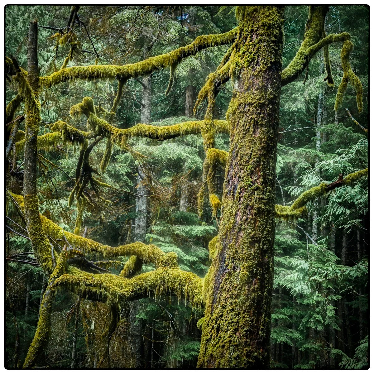  Telegraph Cove hike