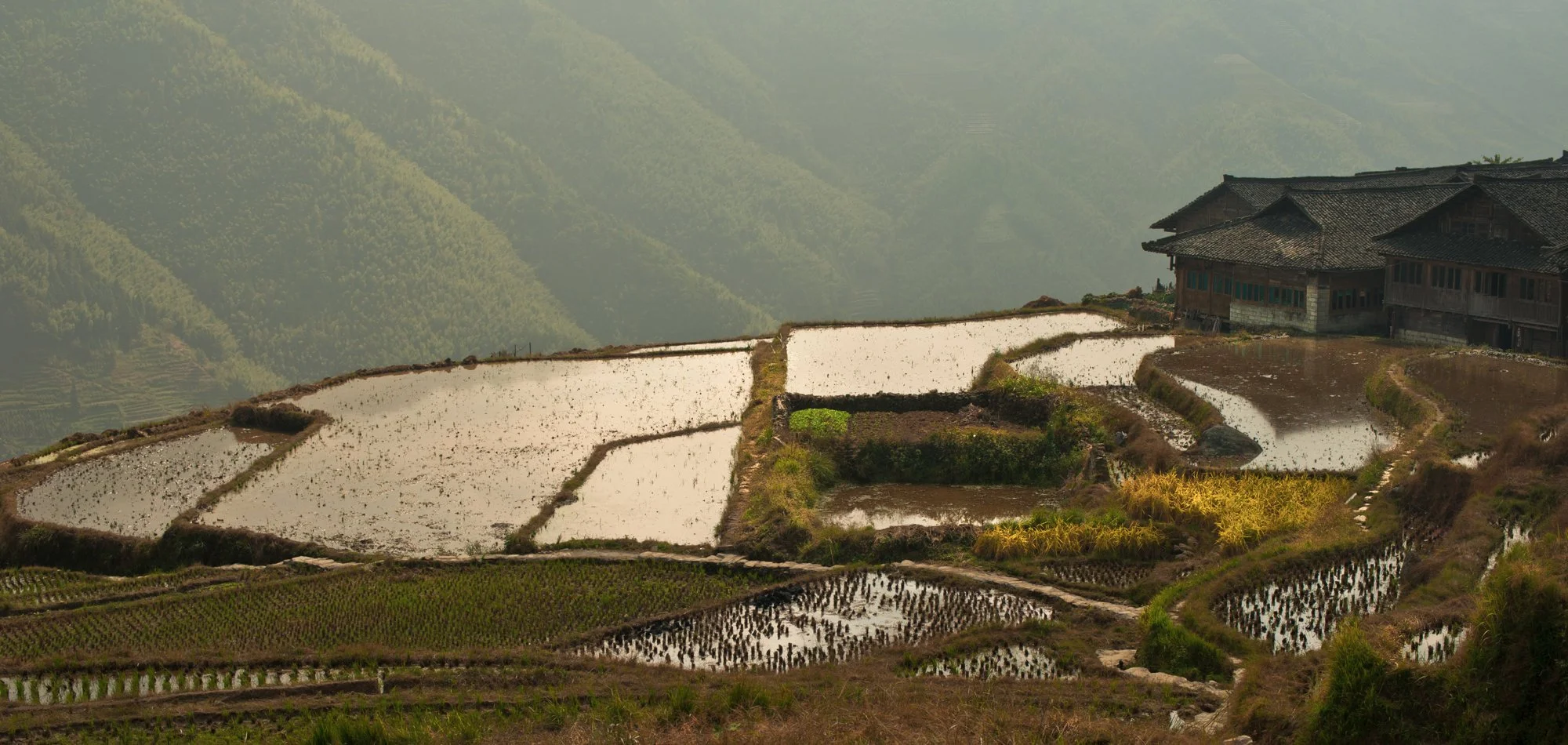 2011_china_longsheng_07.jpg