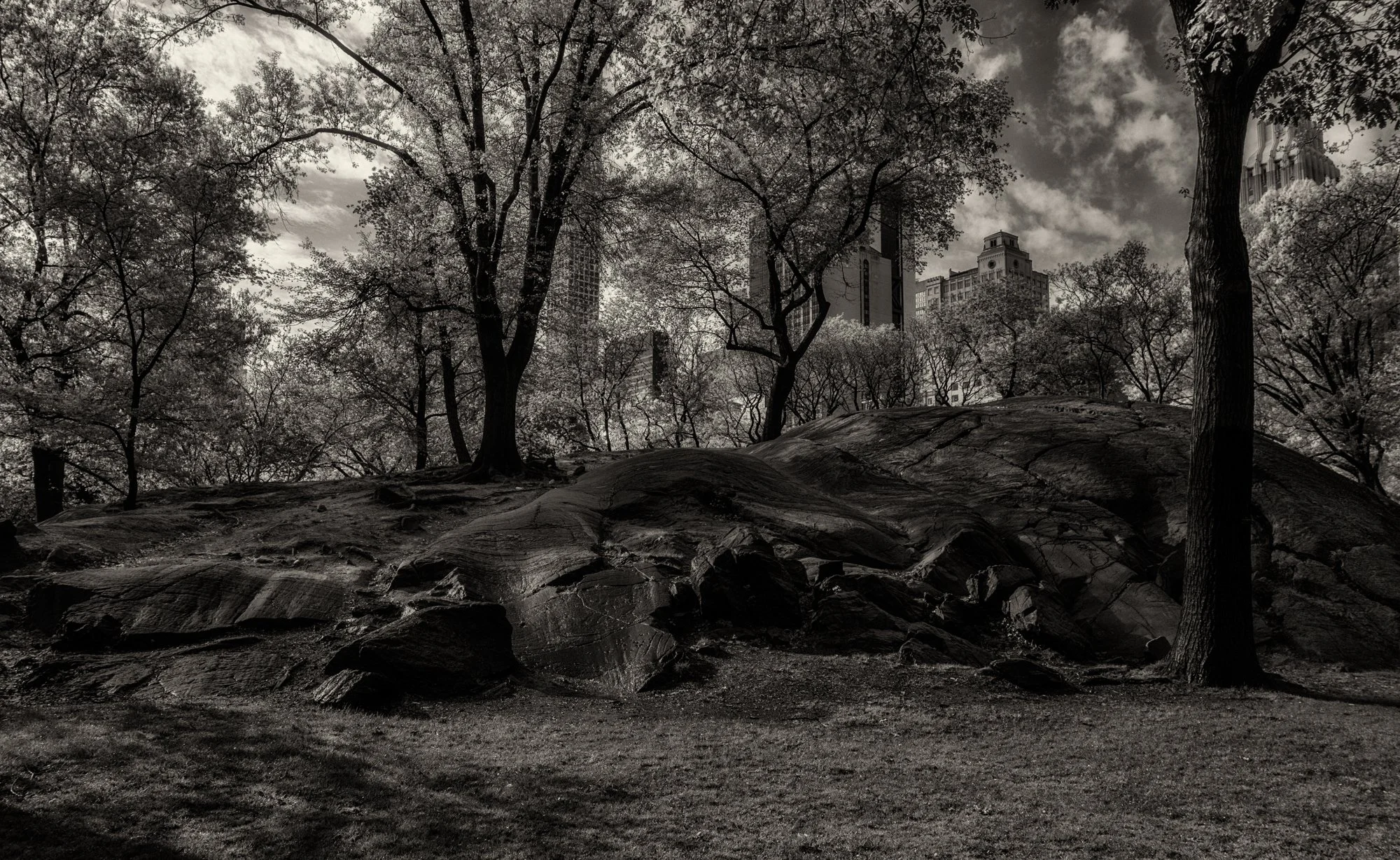 Central Park.