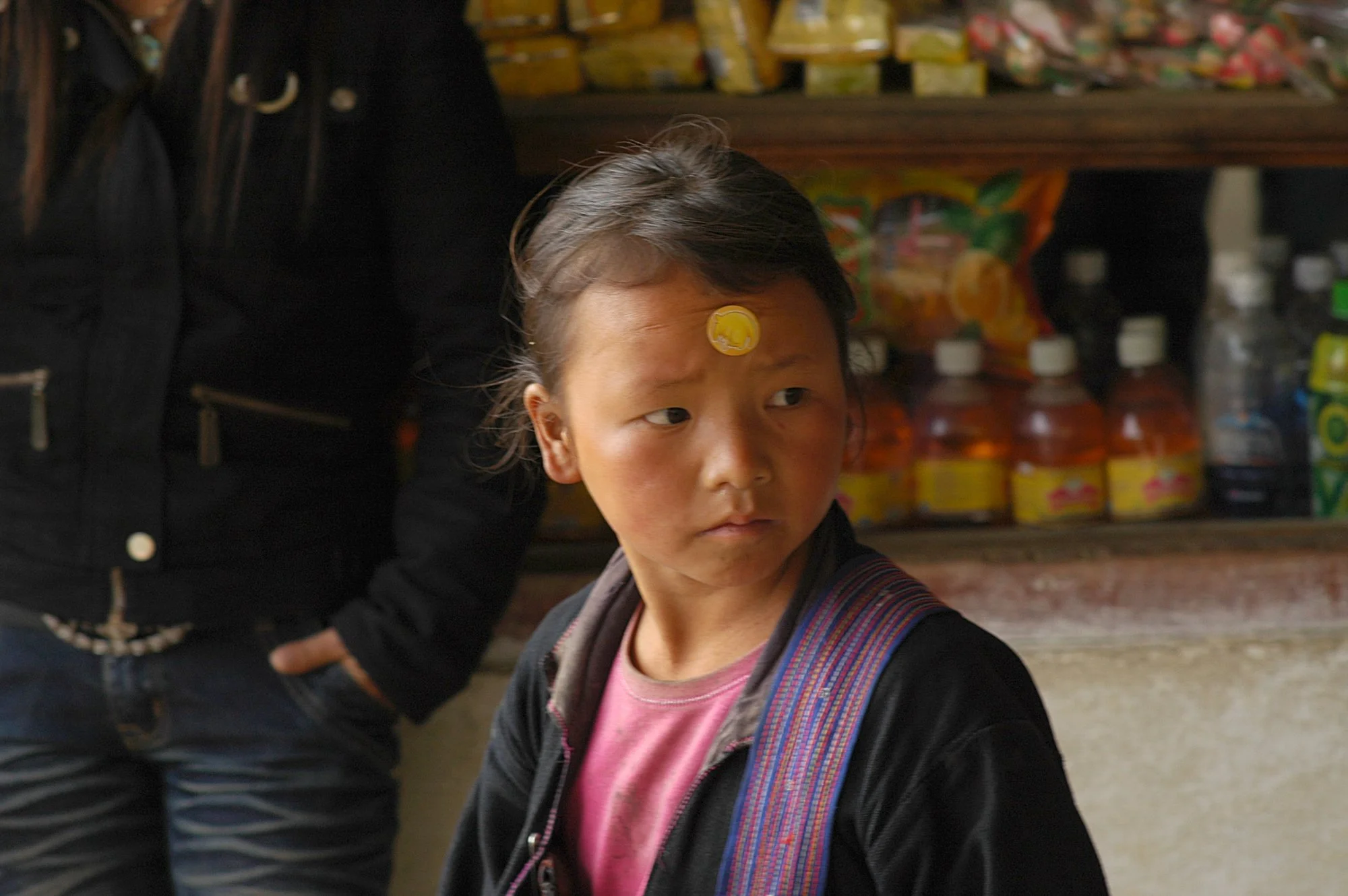 2008_sapa_10.jpg