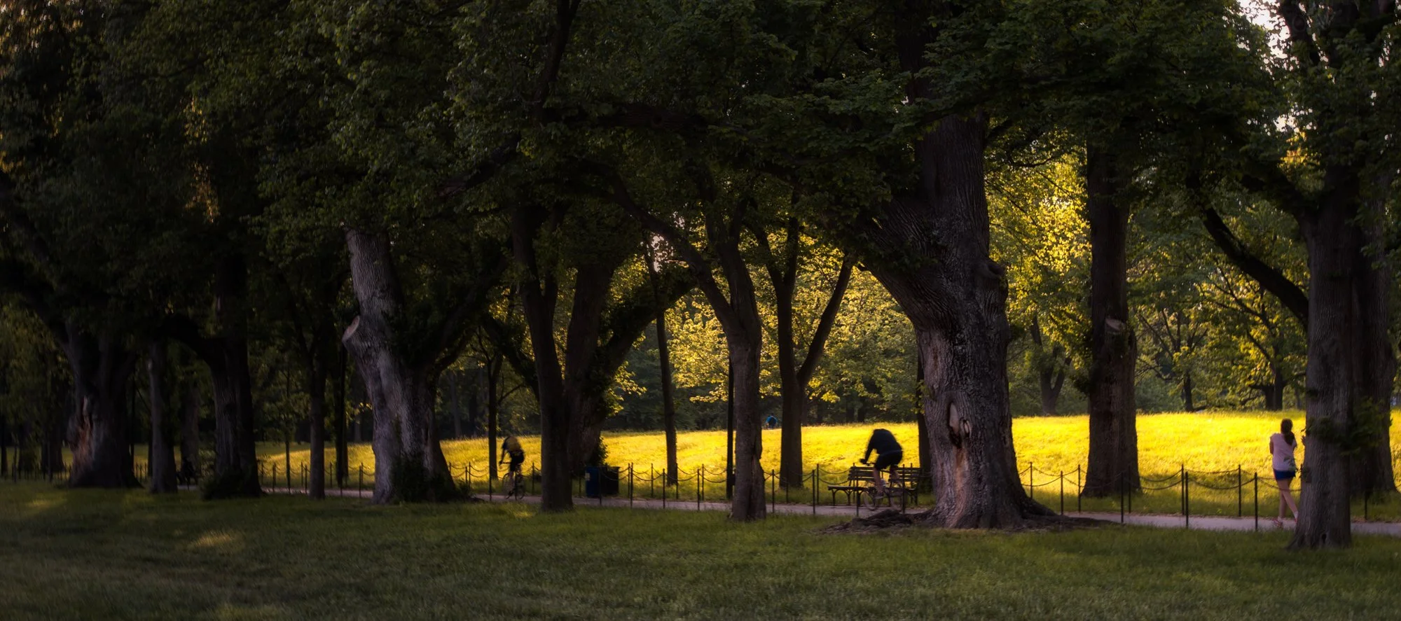 Evening in Washington.