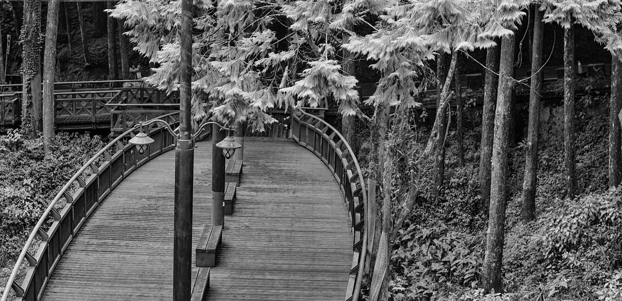 Alishan. Boat bridge.