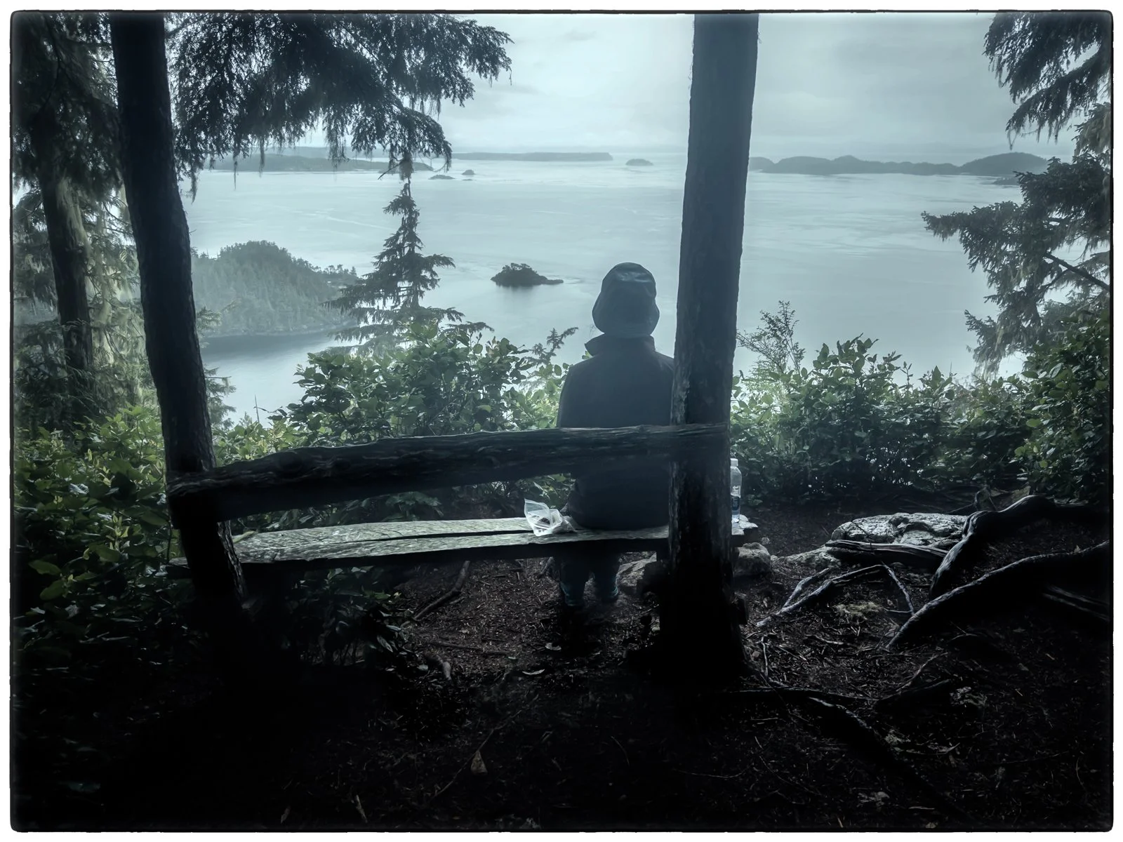 Telegraph Cove, the view point
