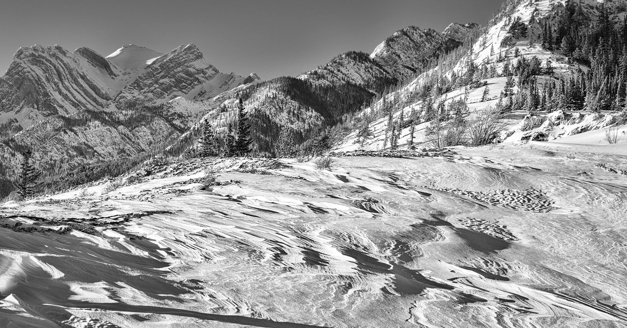 Abraham Lake. Windy Point.