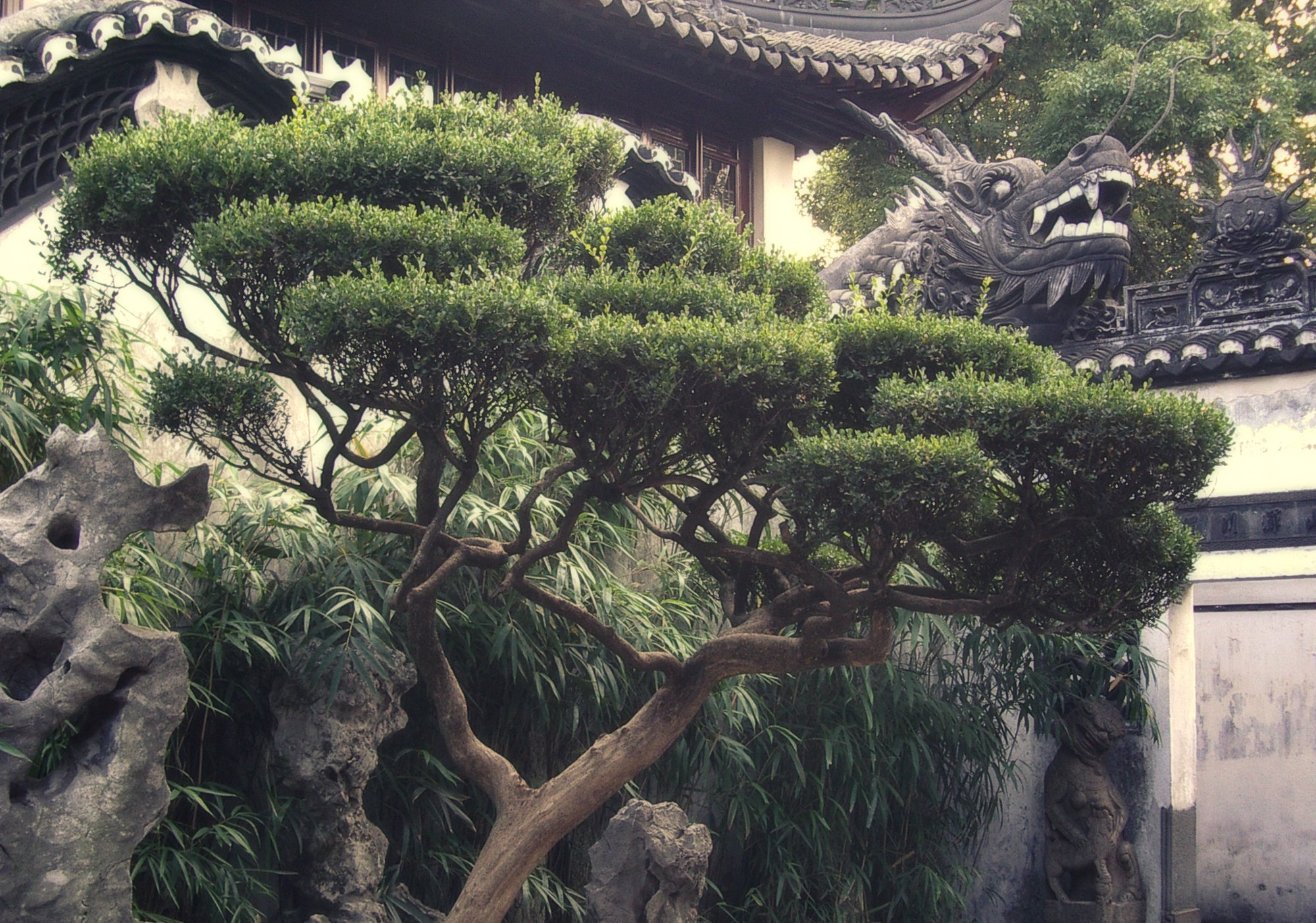 2004_china_26.jpg