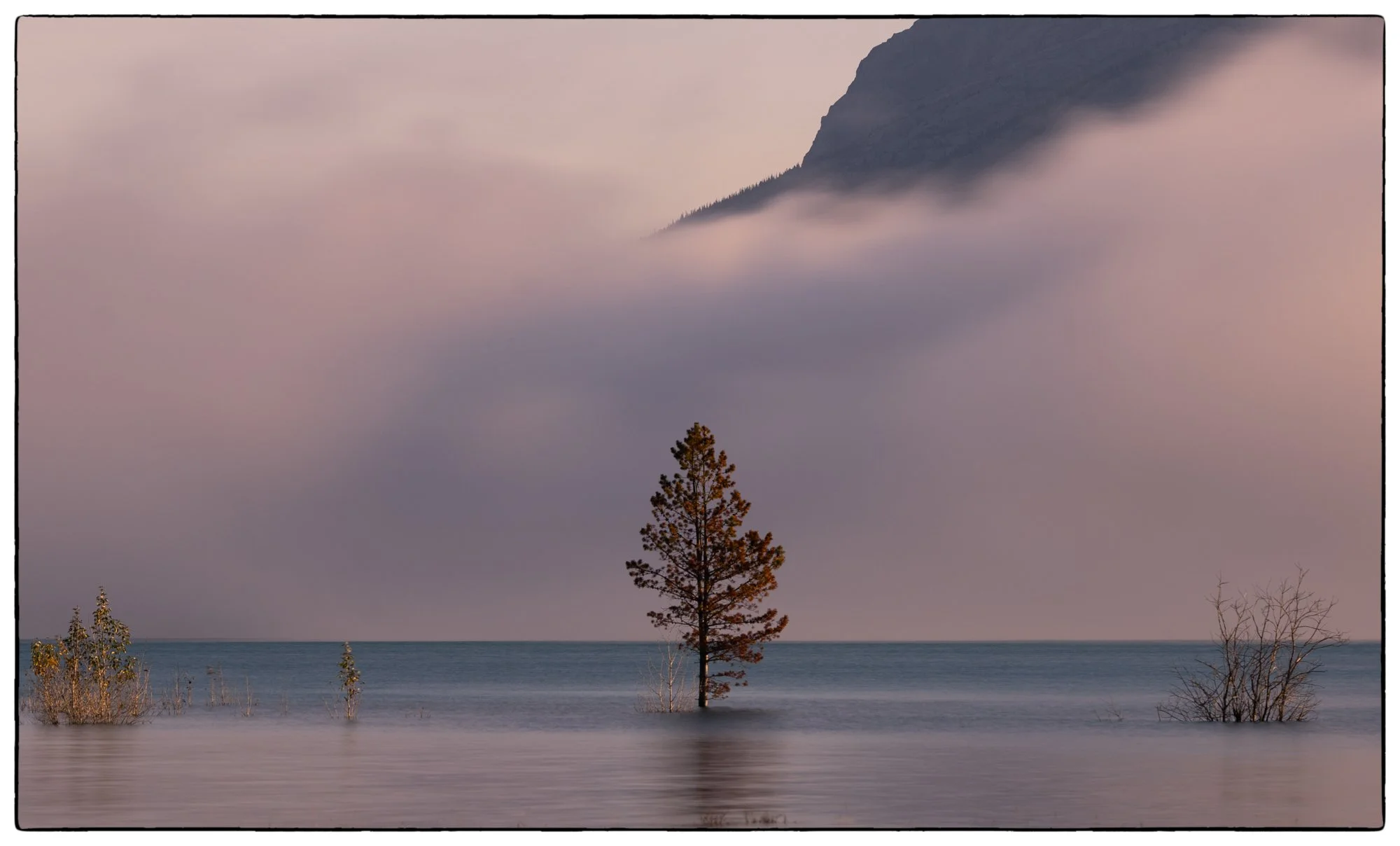 Abraham Lake. In the fall the waters on this lake are very high.