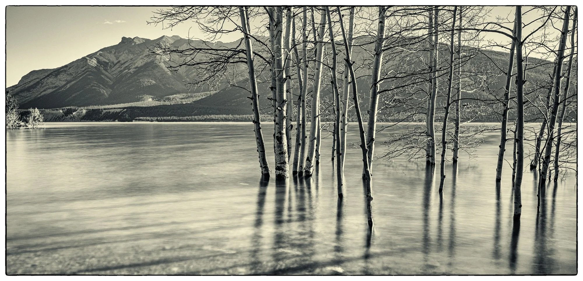 Along the David Thompson highway. Abraham Lake.