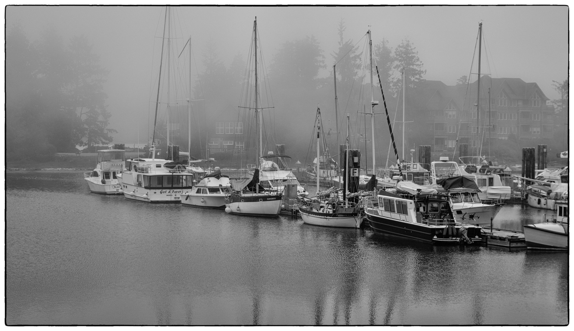 Ucluelet, marina.