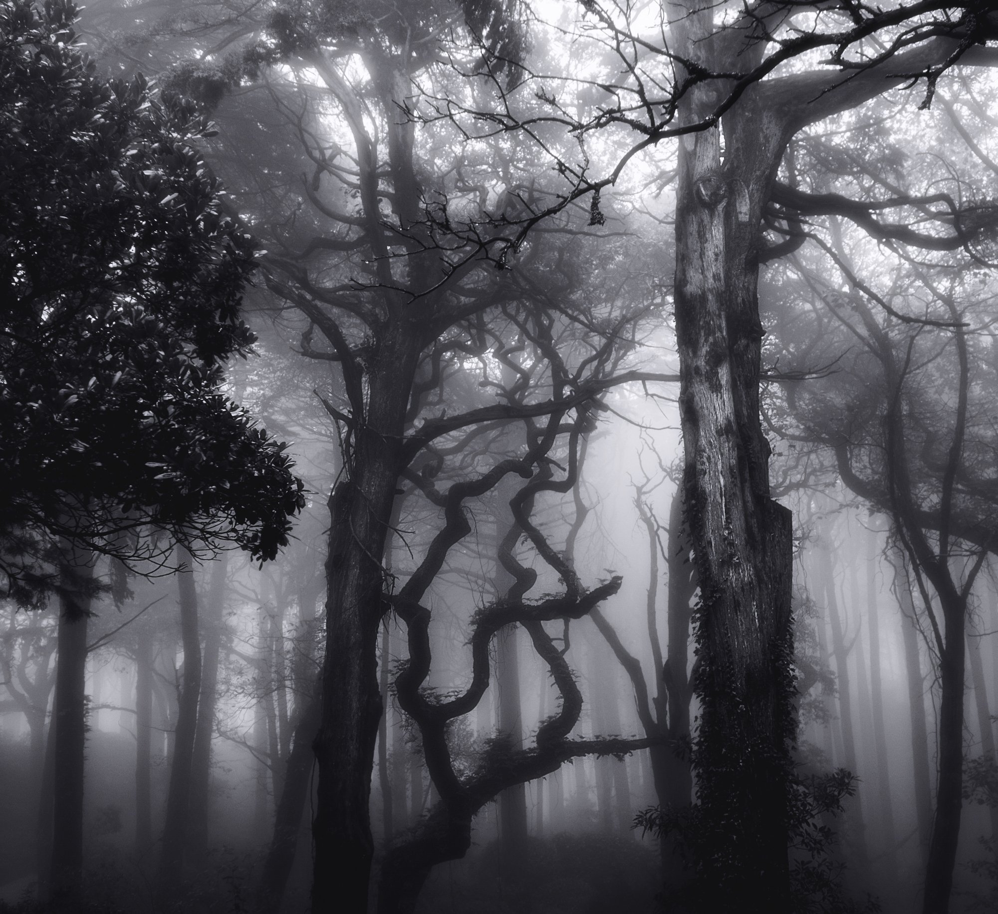 Sintra. World Heritage Site by UNESCO.