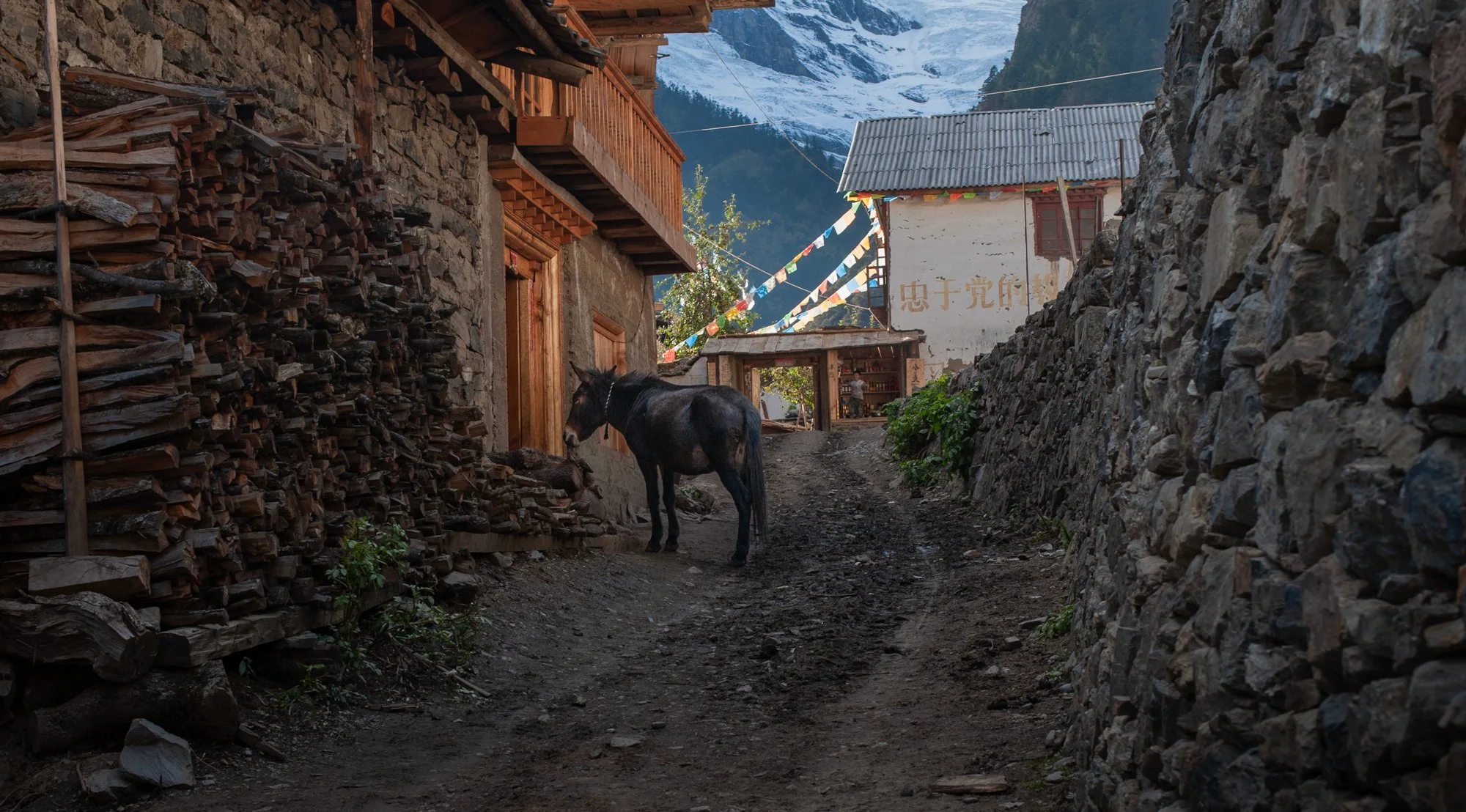2011_china_yuben_12.jpg