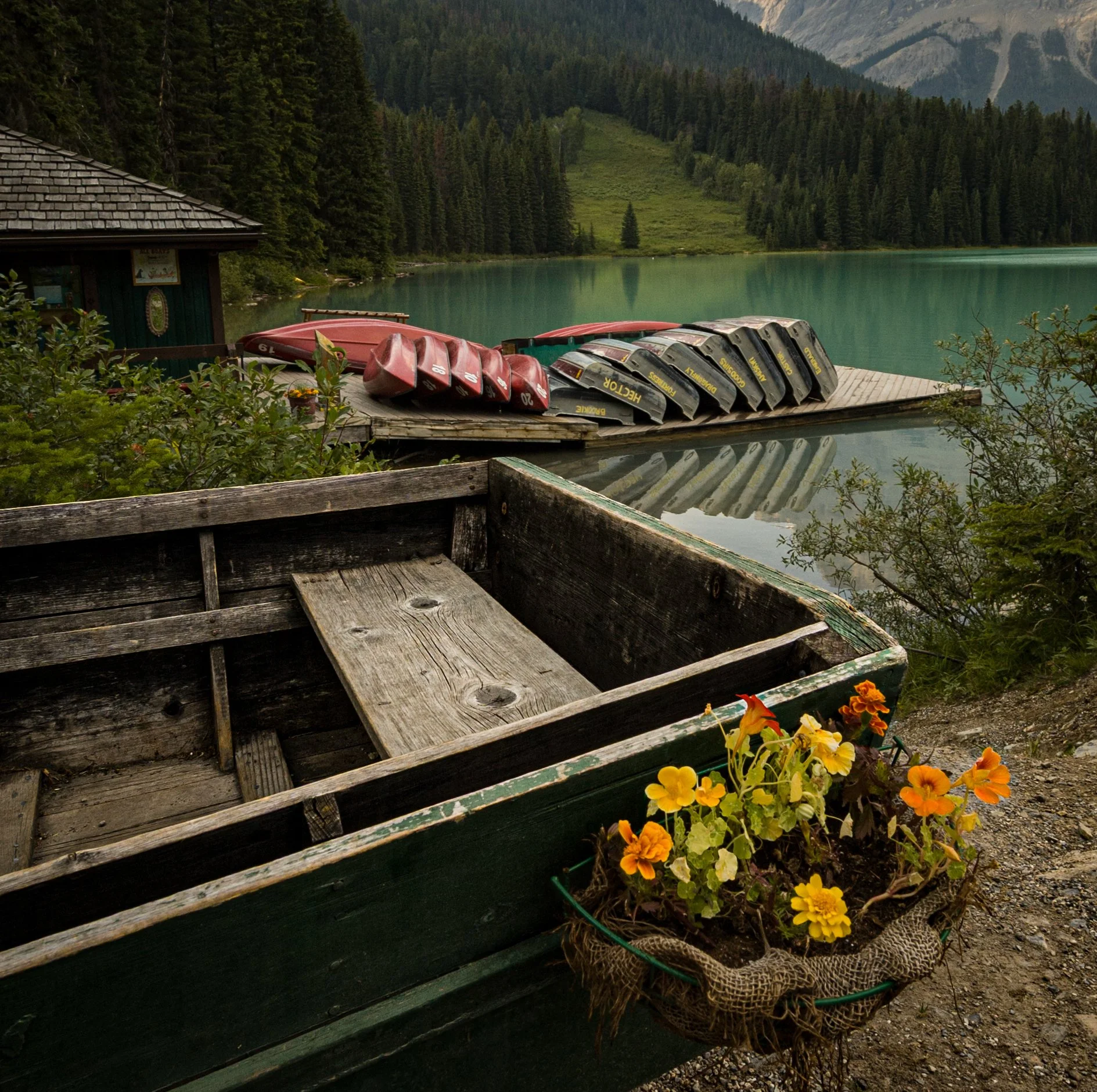2009_yoho_04.jpg