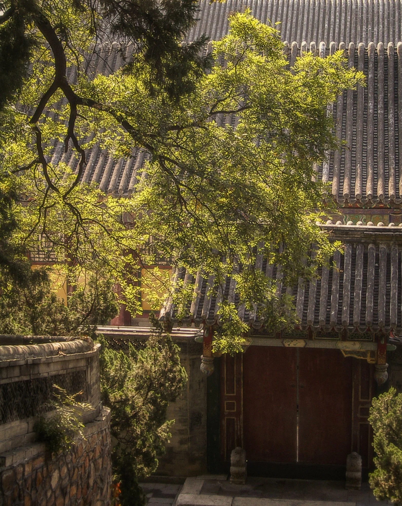 2004_china_16.jpg