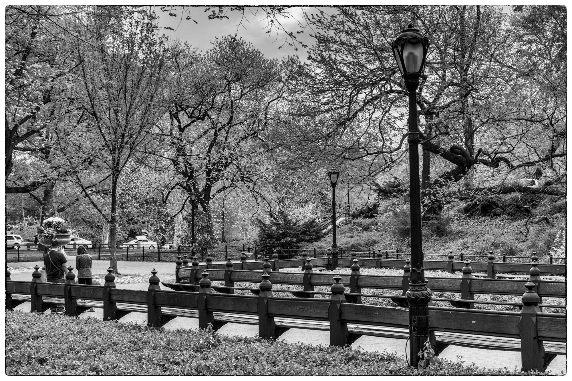 Central Park.