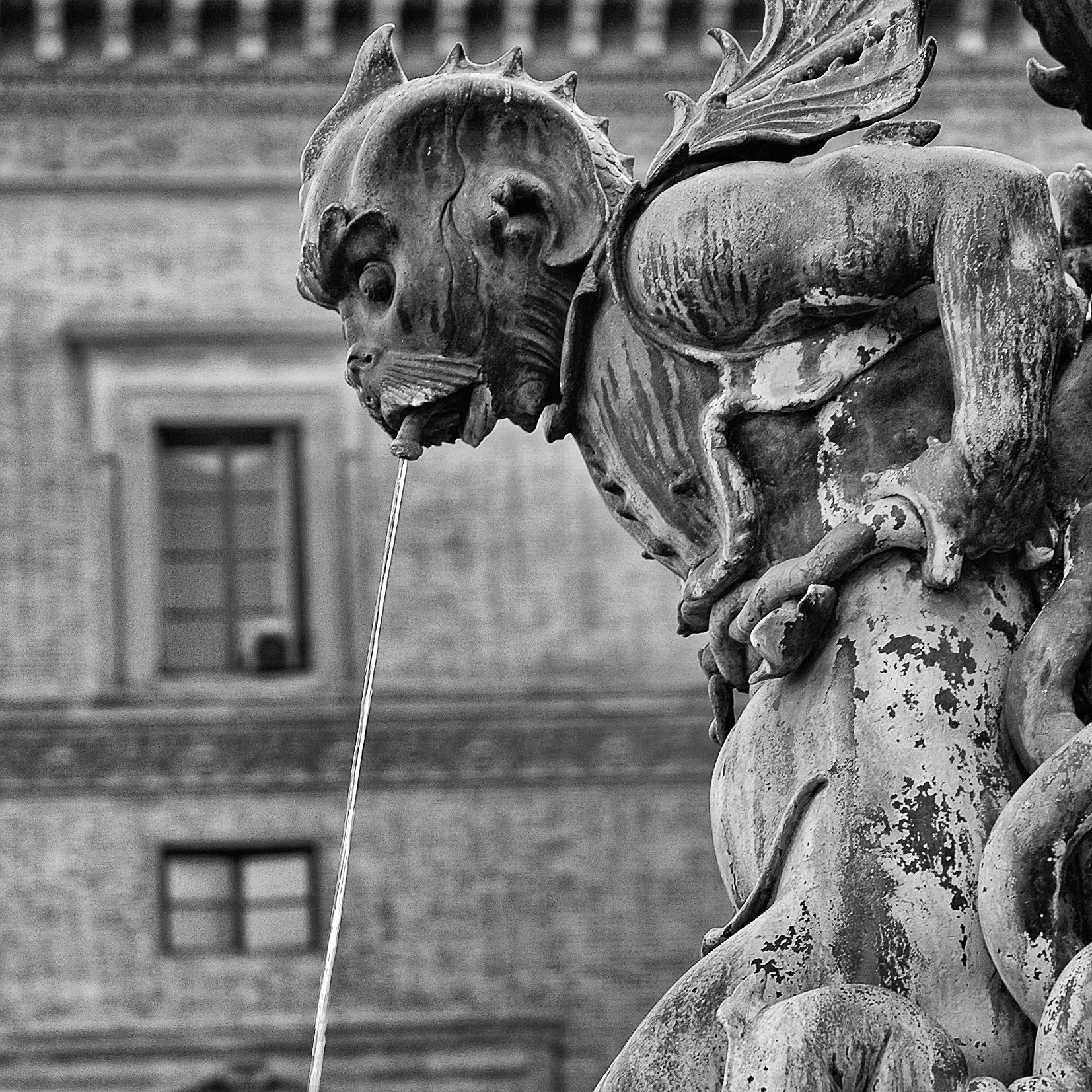 2006_italy_38.jpg