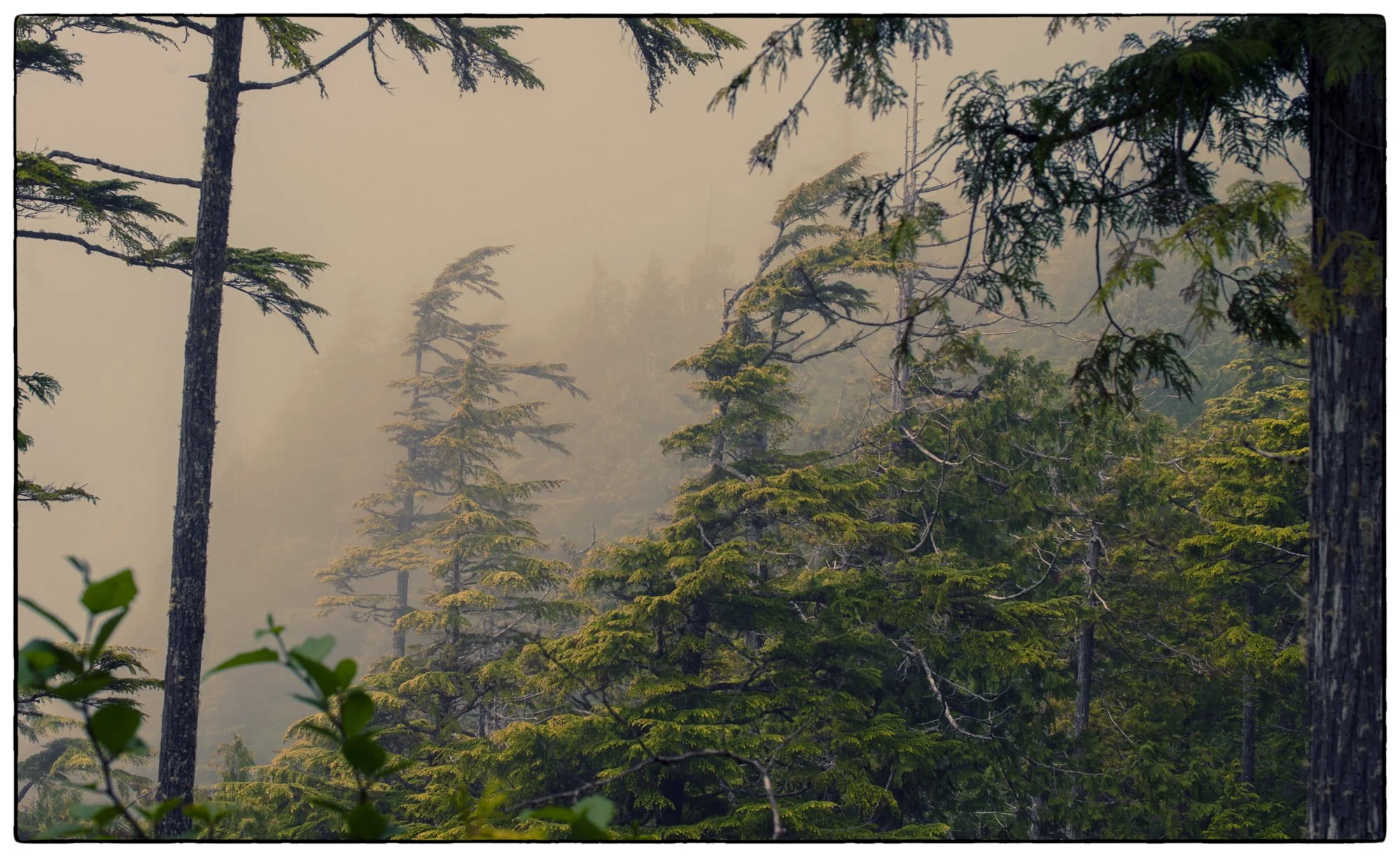 2012_vancouver_island20.jpg