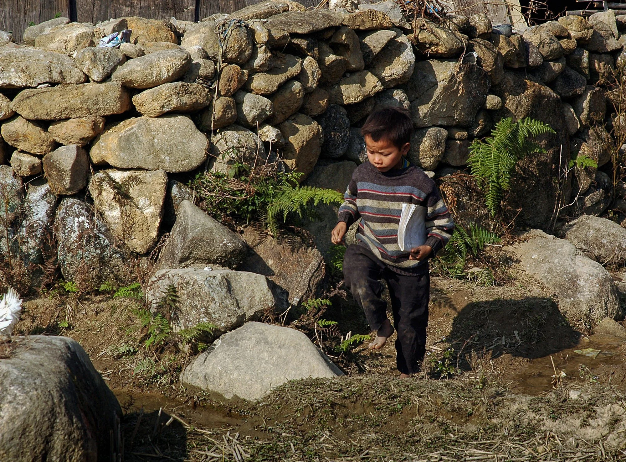 2008_sapa_20.jpg