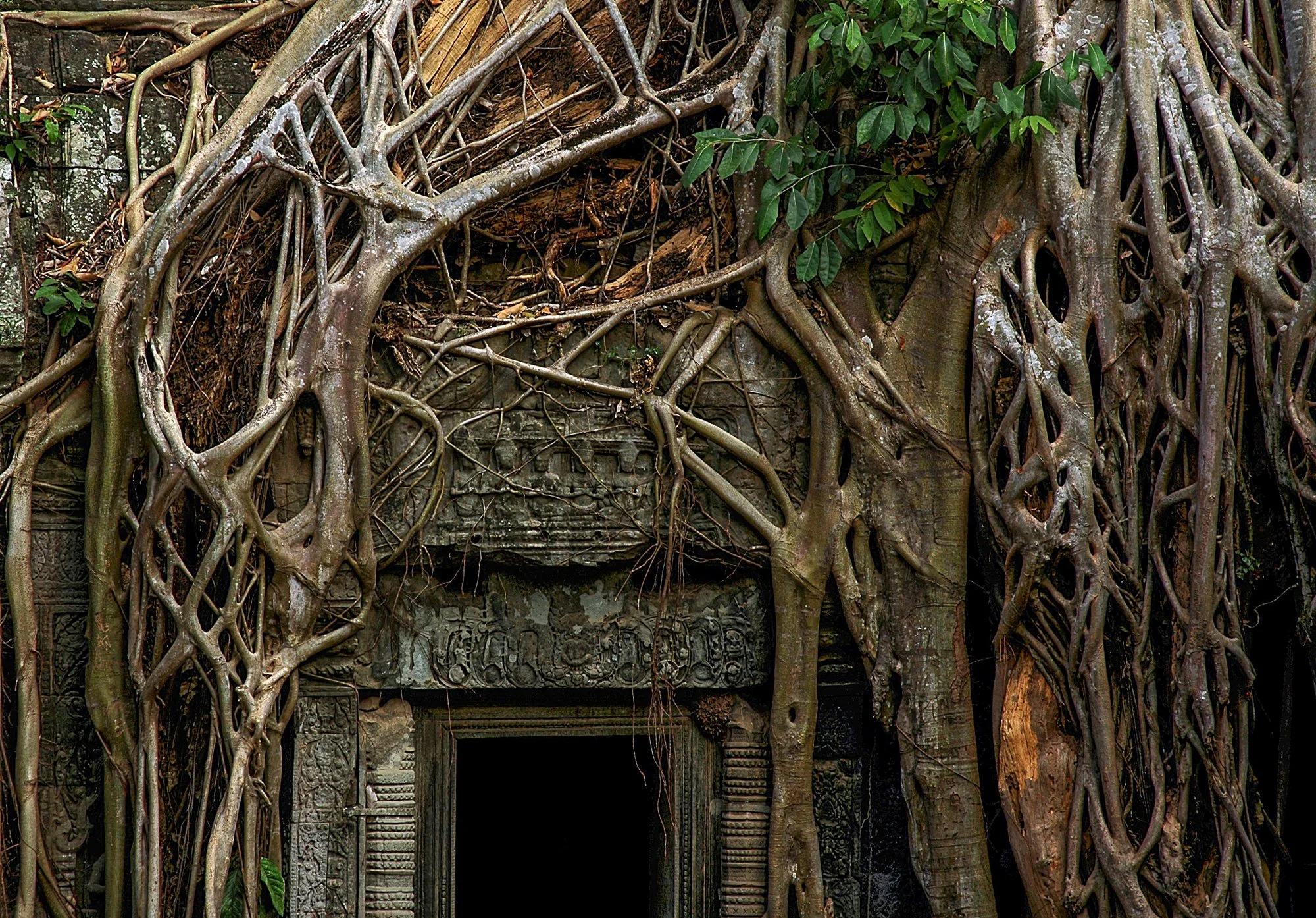 2008_siemreap_11.jpg