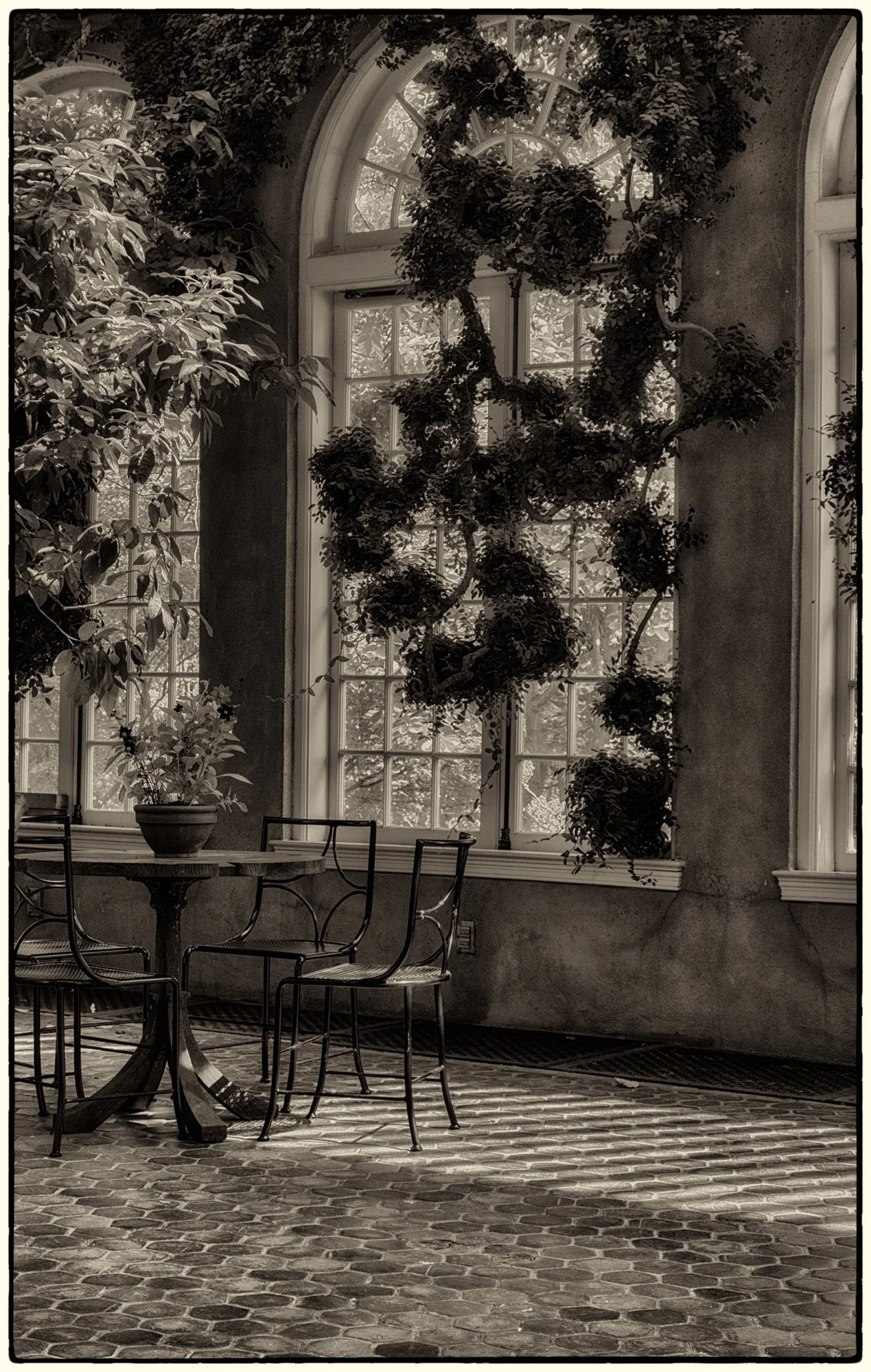 Dumbarton Oaks.